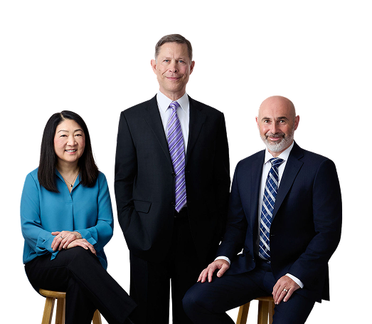 Attorneys of Rice Technology Law Group, a boutique firm focused on complex technology and intellectual property litigation