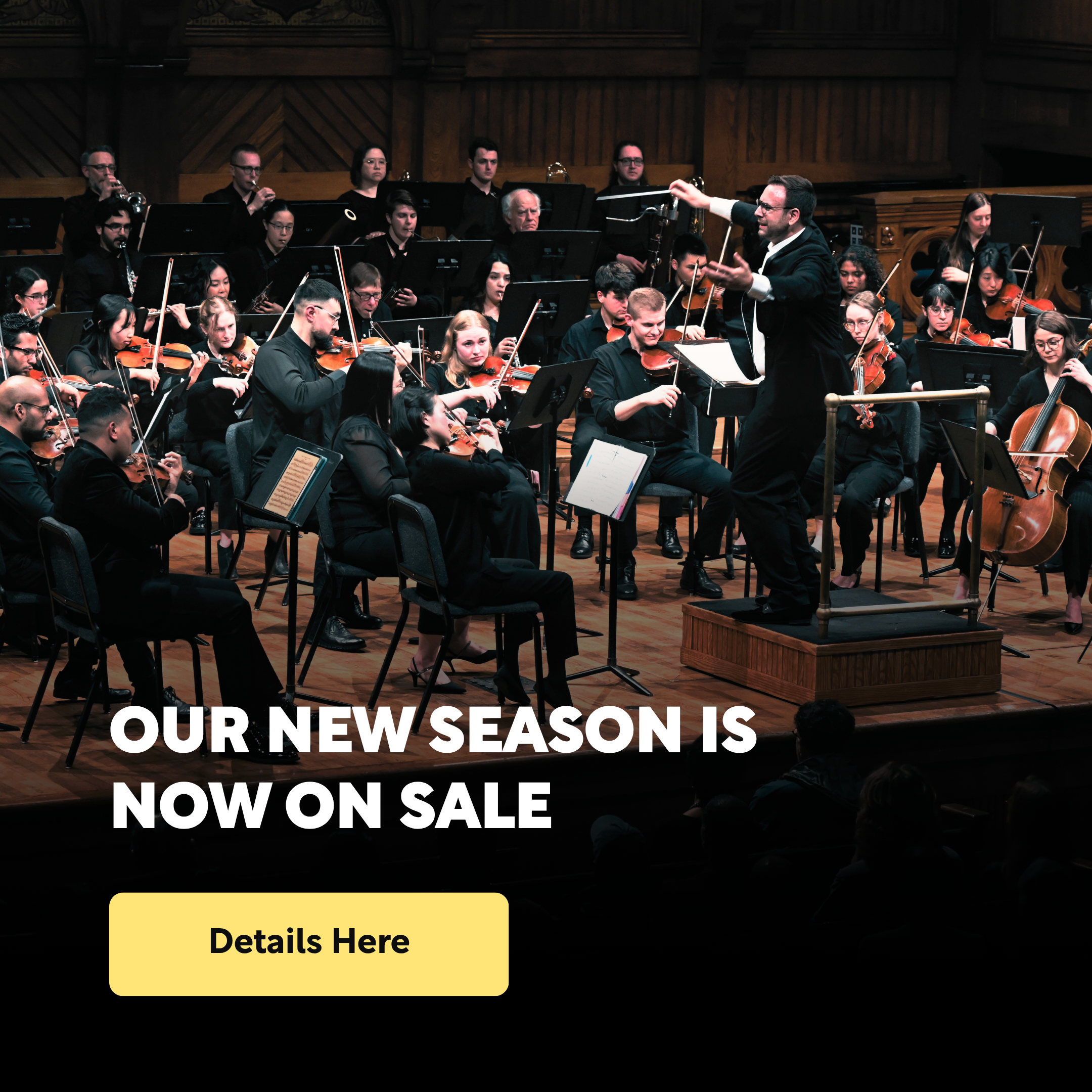 A large orchestra playing music, with a conductor waiving his baton joyfully.