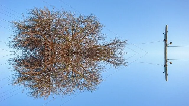 Image: Cat Wilson, Orbit, video still. Image the artist.