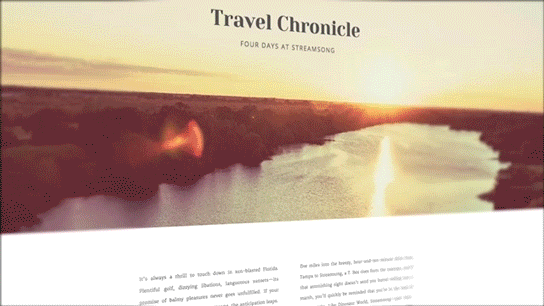 TravelChrony.gif