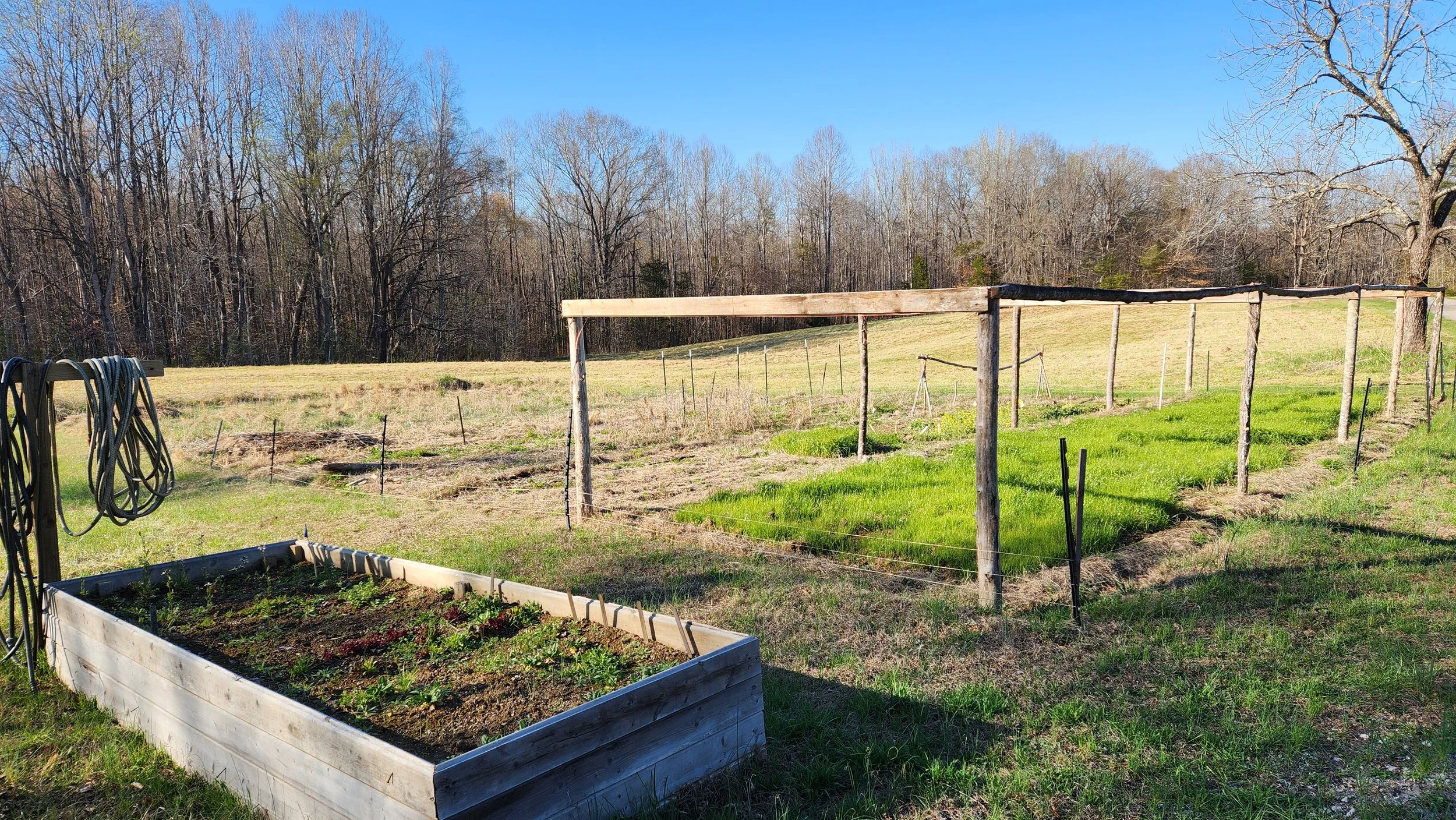 A garden with a wooden raised bed and an outdoor irrigation hose reel. There are wooden posts and wire fencing, with patches of green grass and a field in the background. Trees without leaves are visible under a bright blue sky.