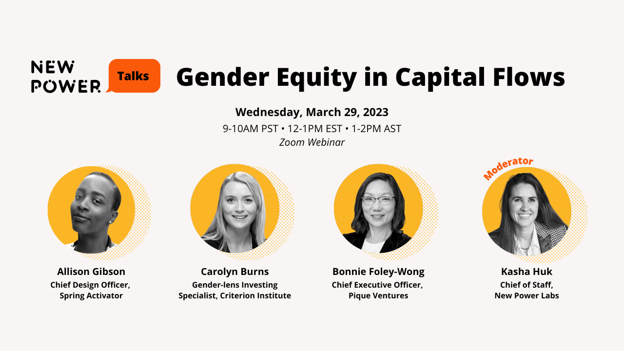 Gender Equity in Capital Flows