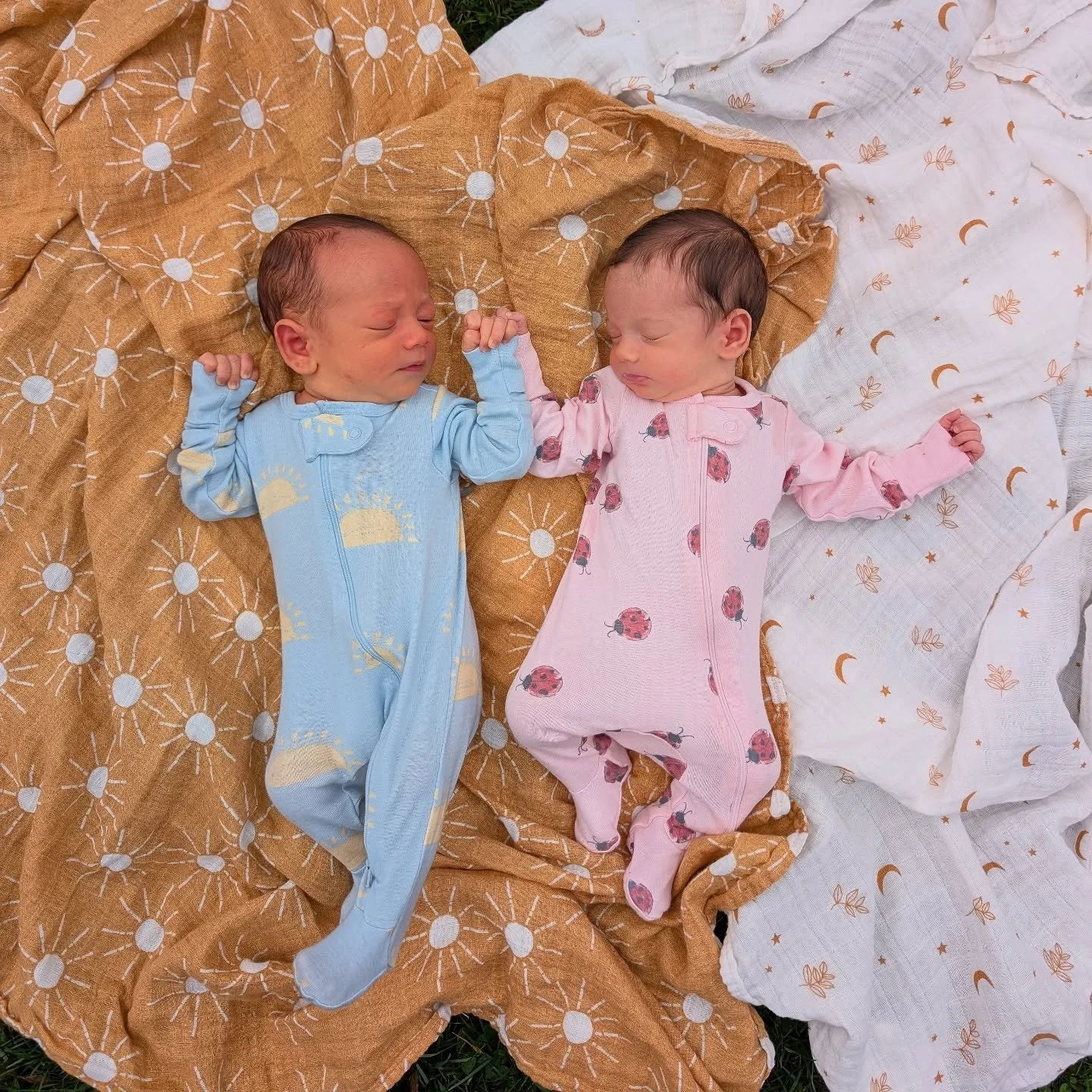 We welcome to the world Eon Sol ☀️ and Era Lun 🌙 The Picnic Pop-Up family gained some new members in early March!

Picnics are still happening thanks to our wonderful team members Cat and April, who we are forever grateful for!

It&rsquo;s officiall