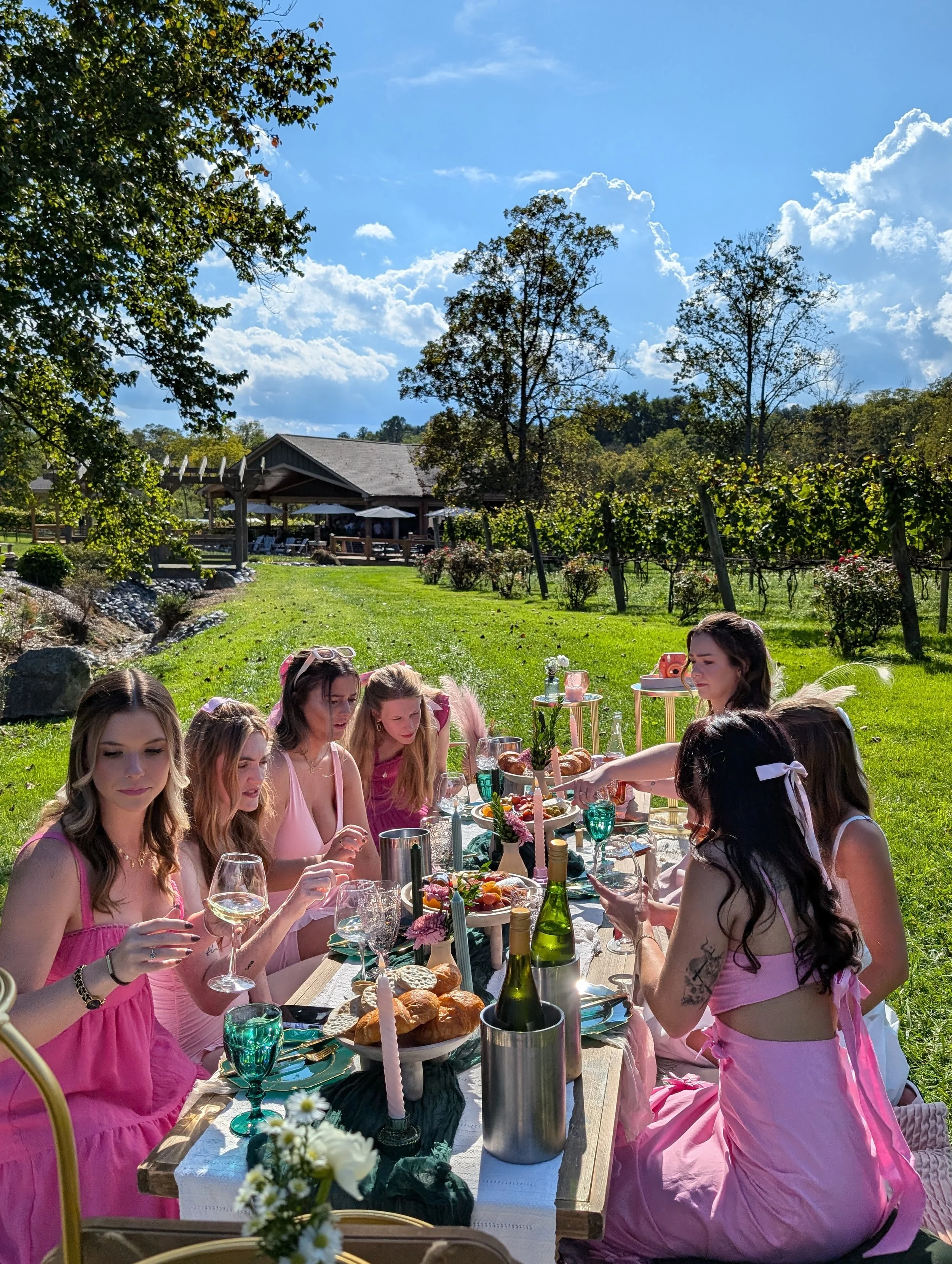 bachelorettes at a luxury picnic at souther williams winery in fletcher, NC