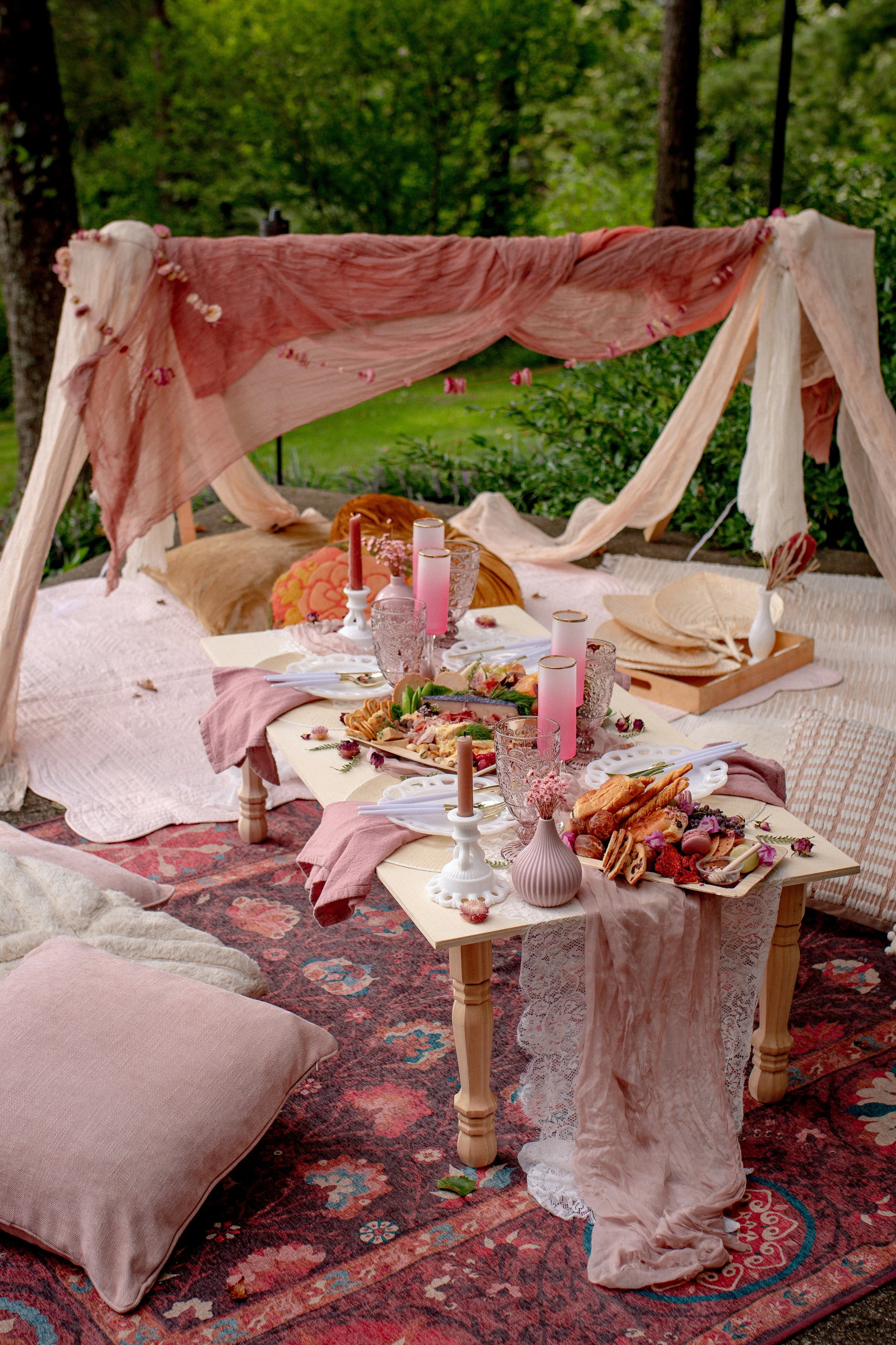 Elegant Asheville picnic with handcrafted charcuterie, goblets, dessert plates, and custom backdrop styling for upscale celebrations.