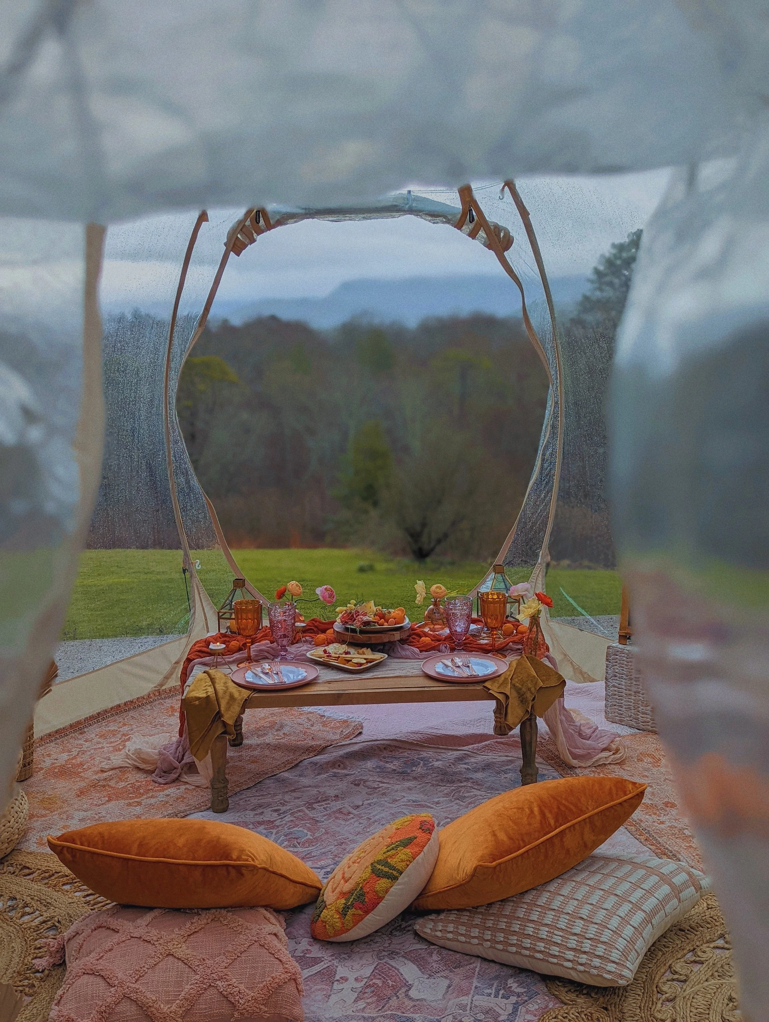 Clear dome picnic experience in Asheville featuring a private romantic setup with mountain views