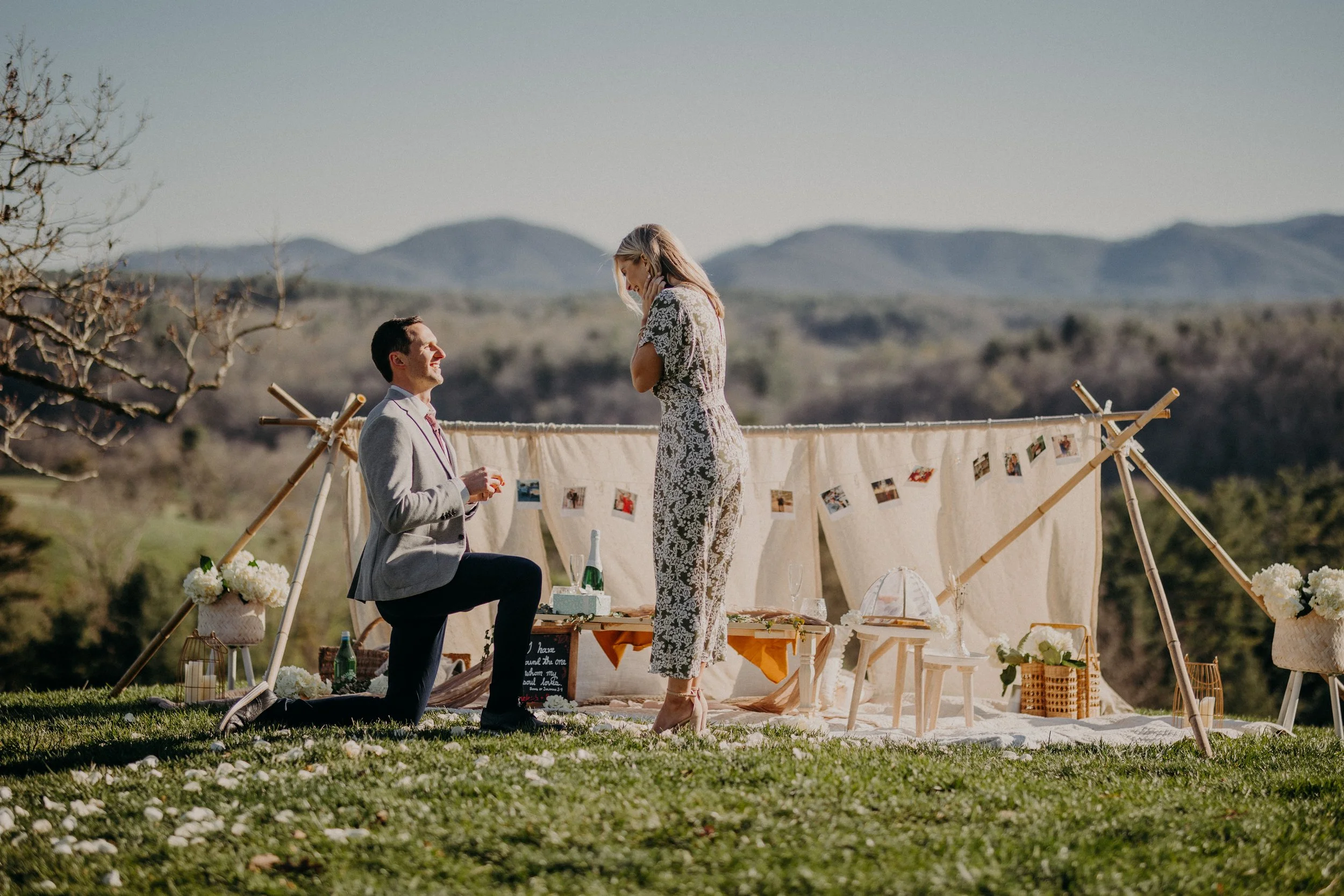 Asheville Proposal Photographer Allegory and Elm-26.jpg