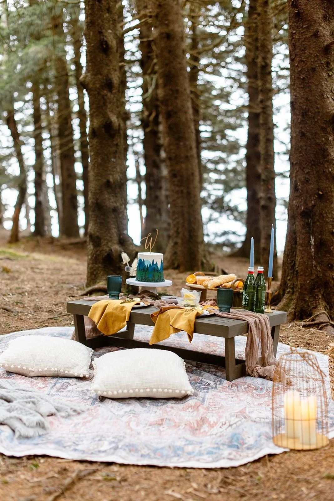 Luxury picnic in a forest setting near Asheville featuring charcuterie, cake, and elegant outdoor decor