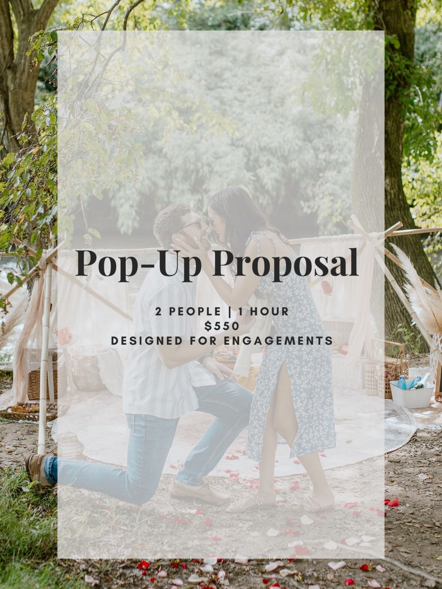 Surprise proposal picnic setup in Asheville with romantic draped backdrop, rose petals, and intimate engagement styling.