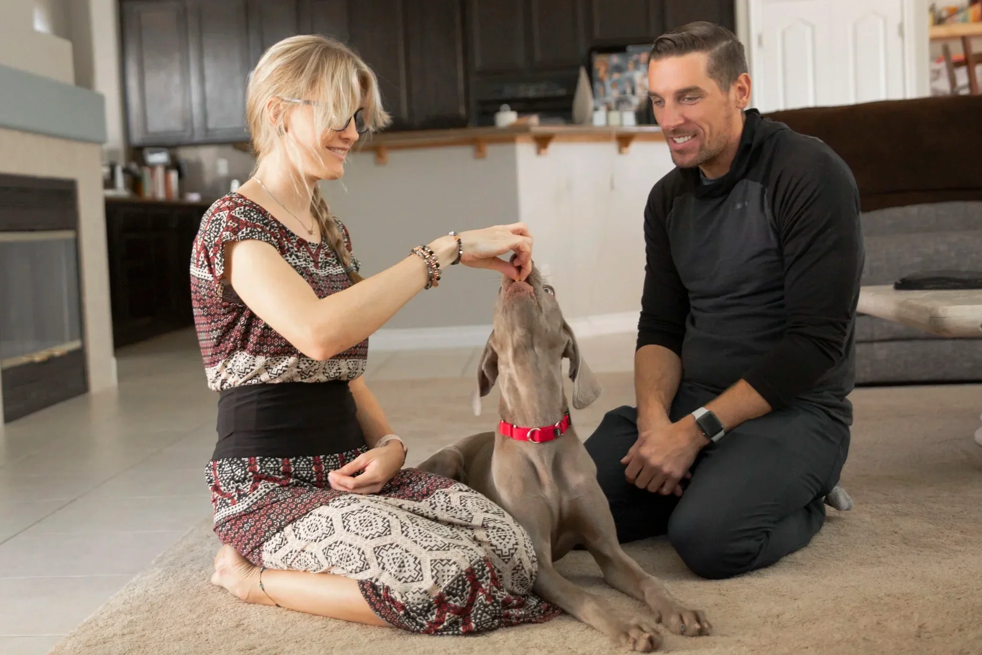 DOG+TRAINING+SERVICE+DOG+ONLINE+CLASSES+ONLINE+DOG+TRAINING+ERIC+ITA+LAS+VEGAS+TRAINER.webp