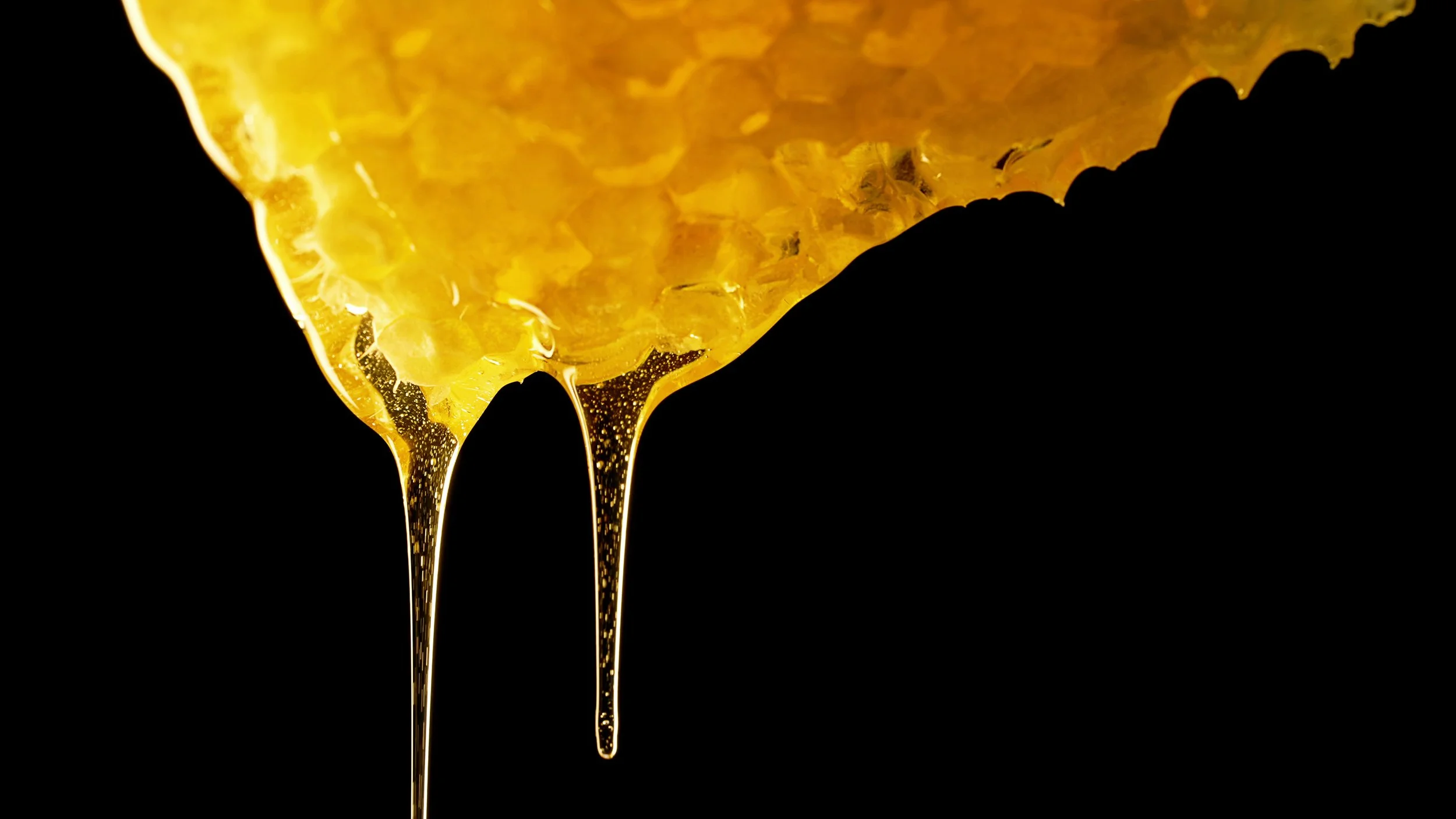 Scotiabank Small Business Month Campaign