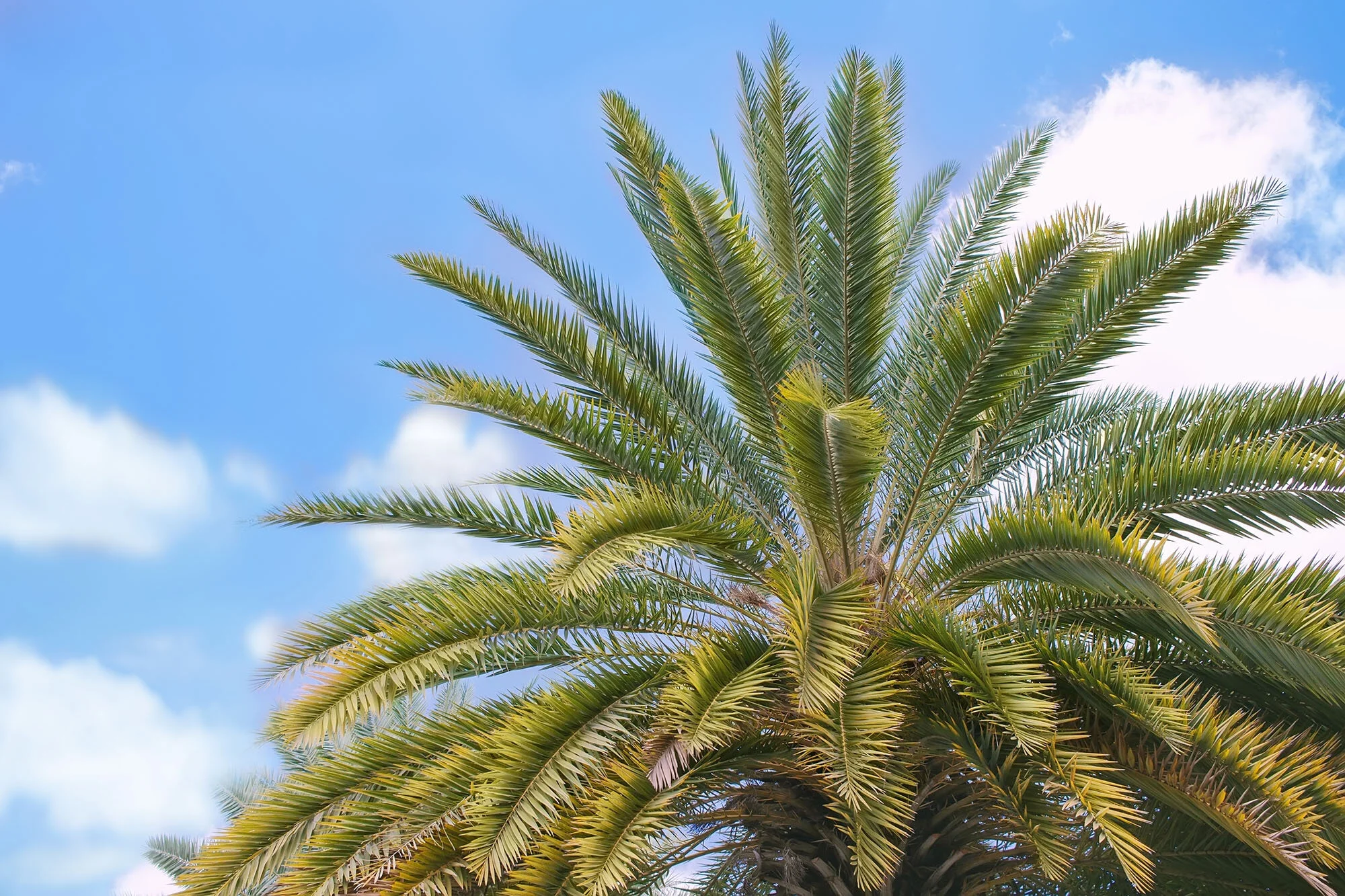 Willowbank Land For Sale, House & Land Packages Parkside Land