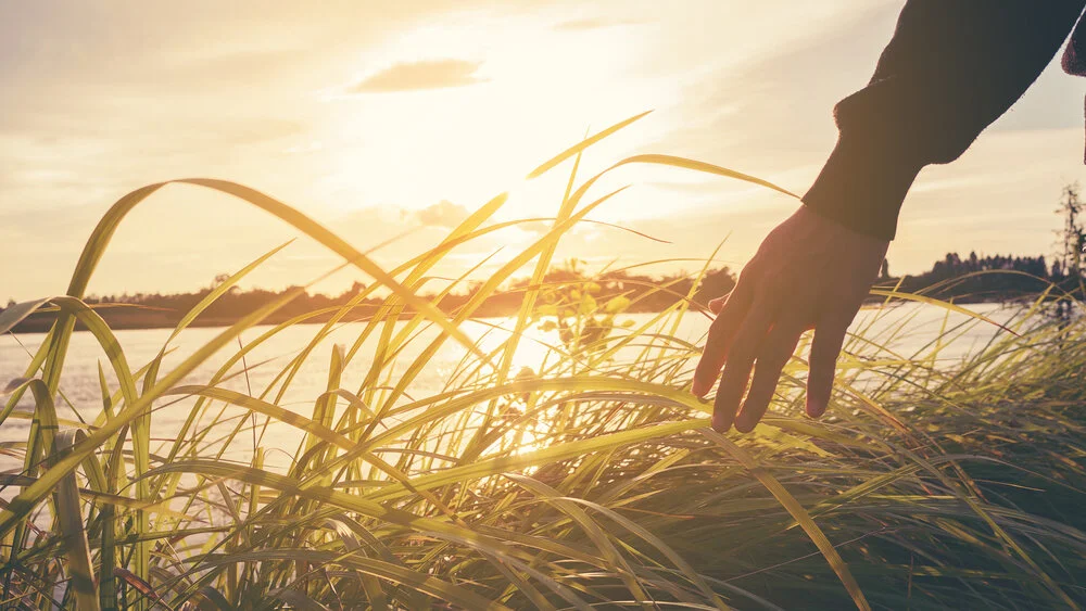 Willowbank Land For Sale, House & Land Packages Parkside Land