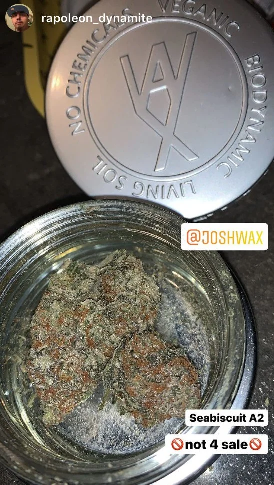 joshwax-community_012.jpg