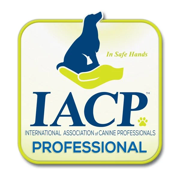 IACP Member