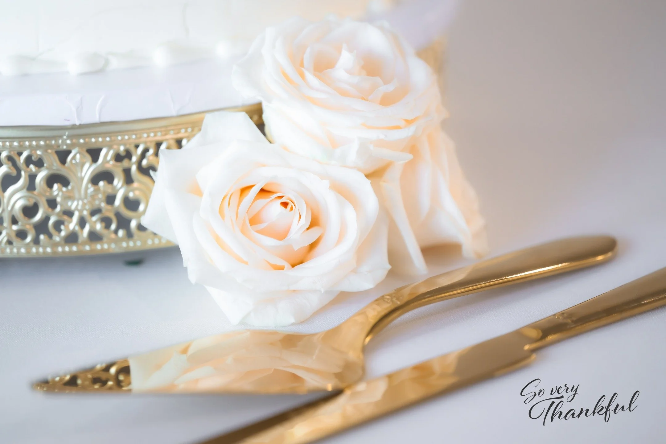 On behalf of Bouras Designs, thank you to my many clients, followers, and supporters. What started as just a hobby has really turned into something I never imagined possible. Thank you sincerely!