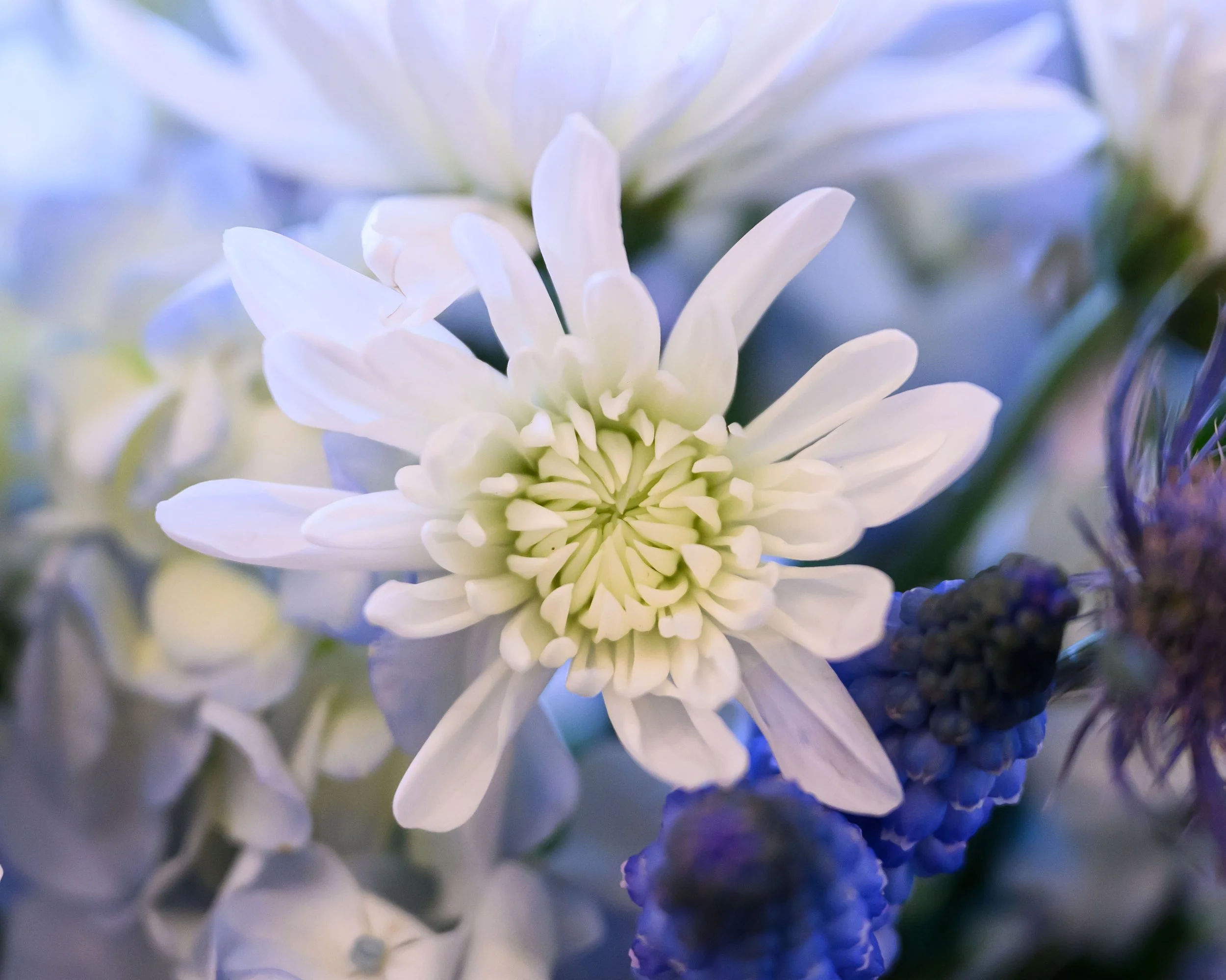 260226 Herrel Wedding-29.jpg