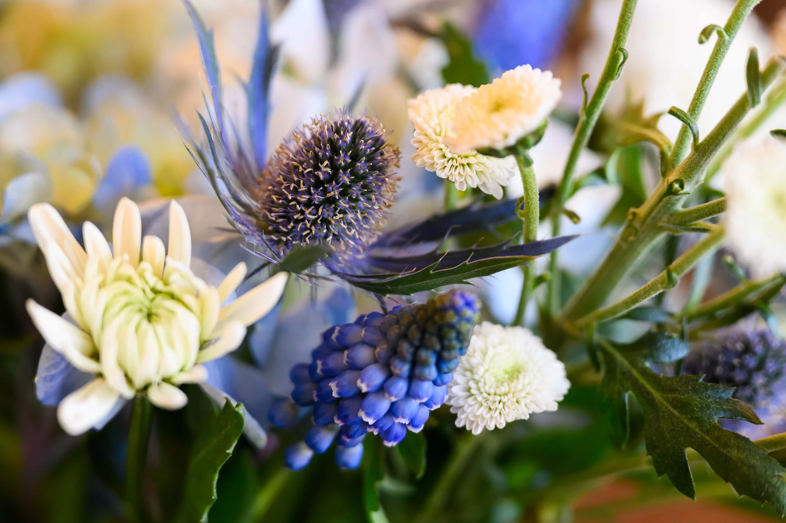 260226 Herrel Wedding-26.jpg