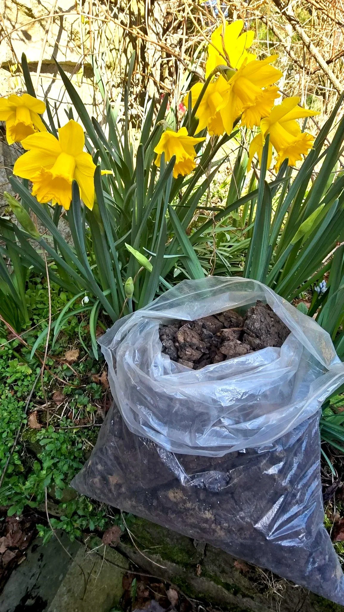 Cork insulation offcuts gathered from site, stored for reuse in filling gaps, lime plaster mixes and other practical applications