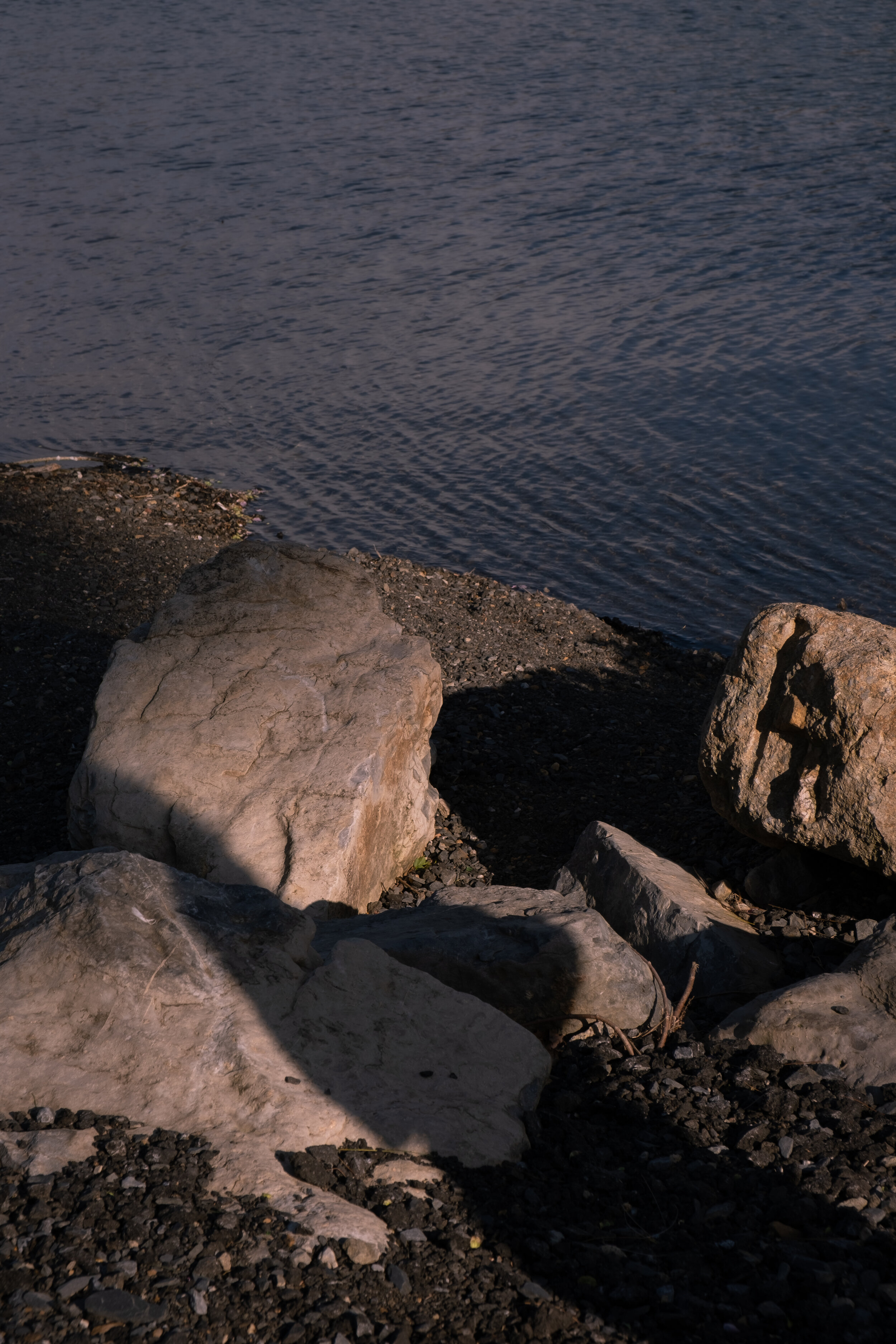 DSCF4046.jpg