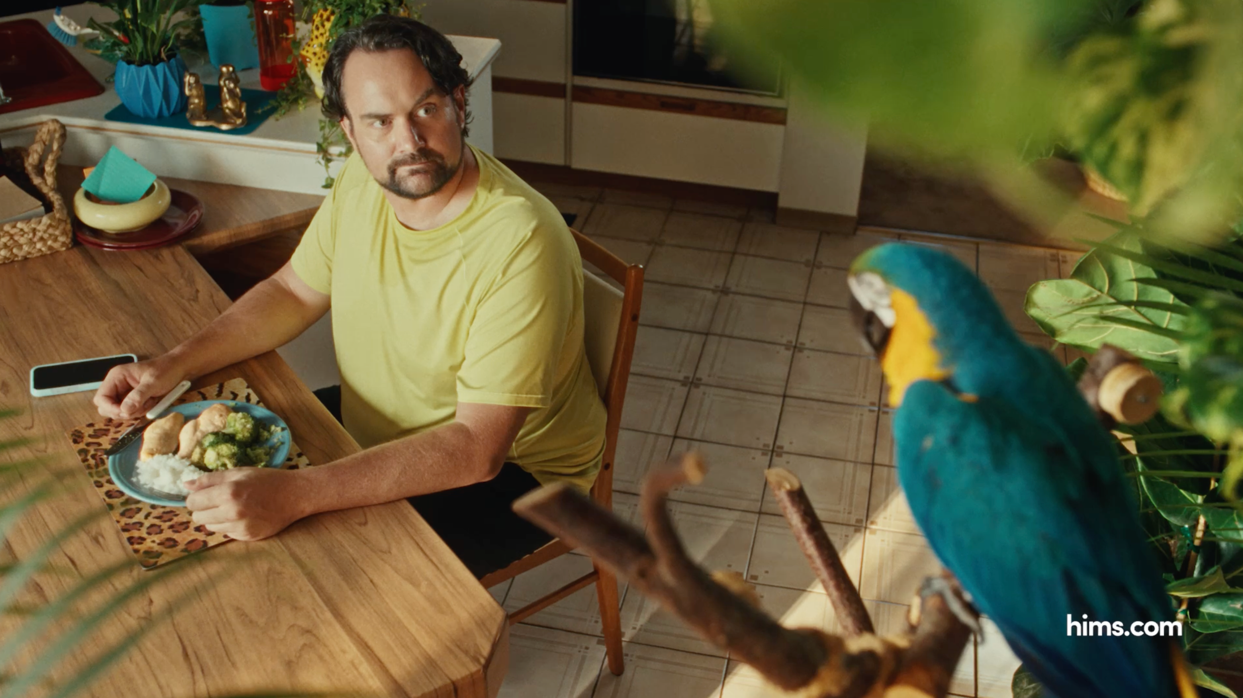 hims&hers "Creature of Habit"