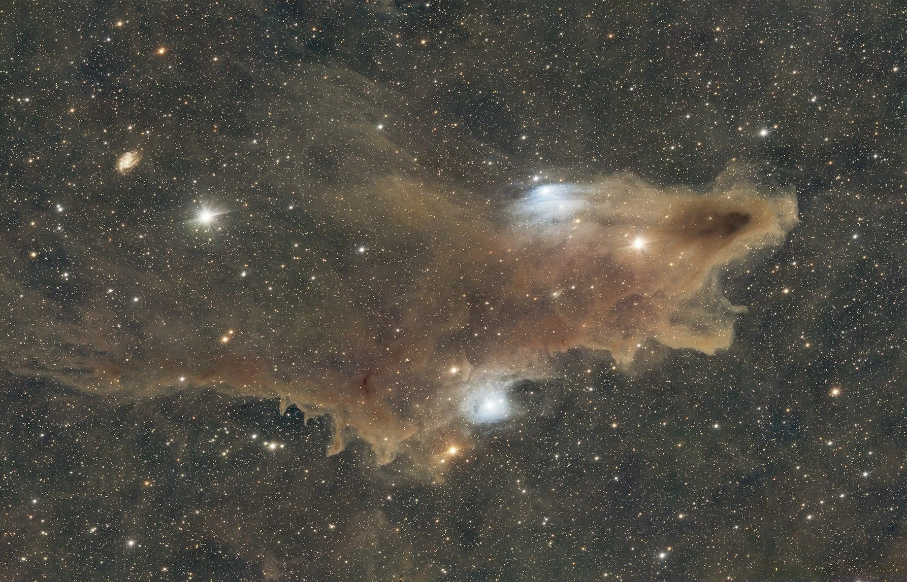 Steve and Steven Kramer