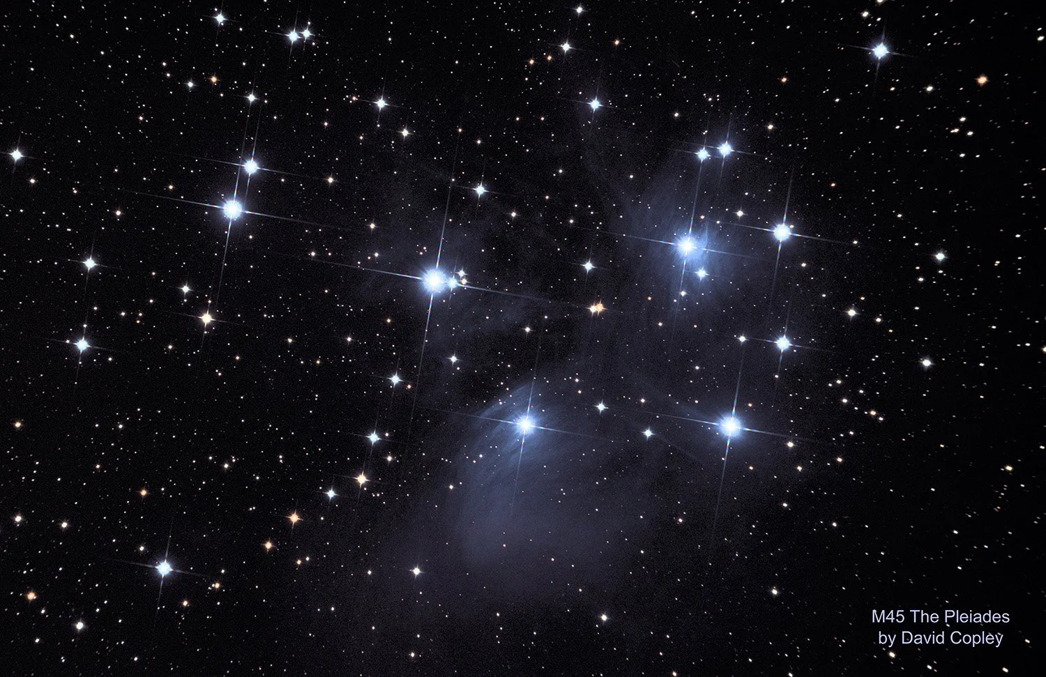 M45_11-21-24_85.jpg