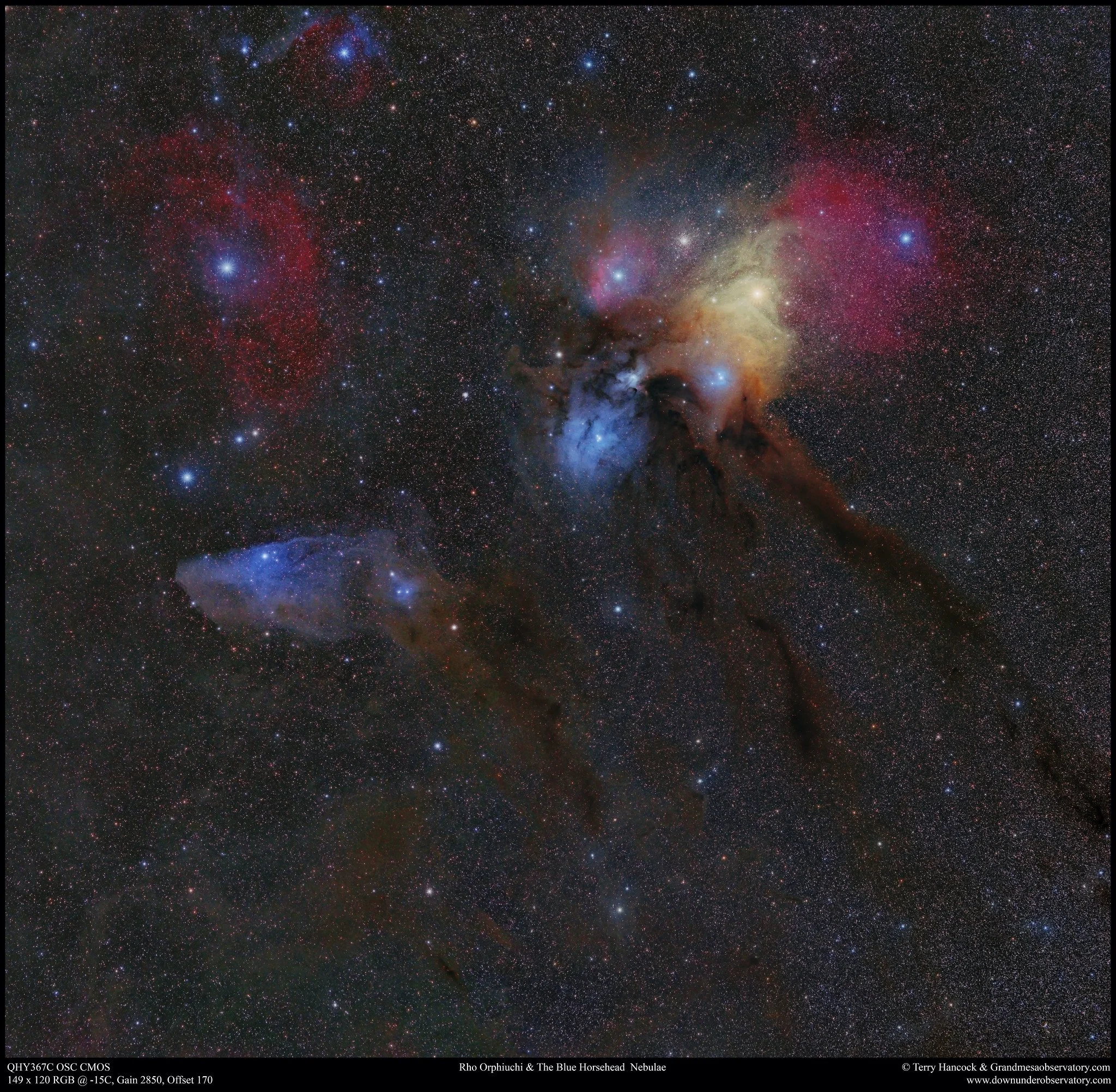 Rho Orphiuchi & The Blue horse Nebulae 24x22.jpg