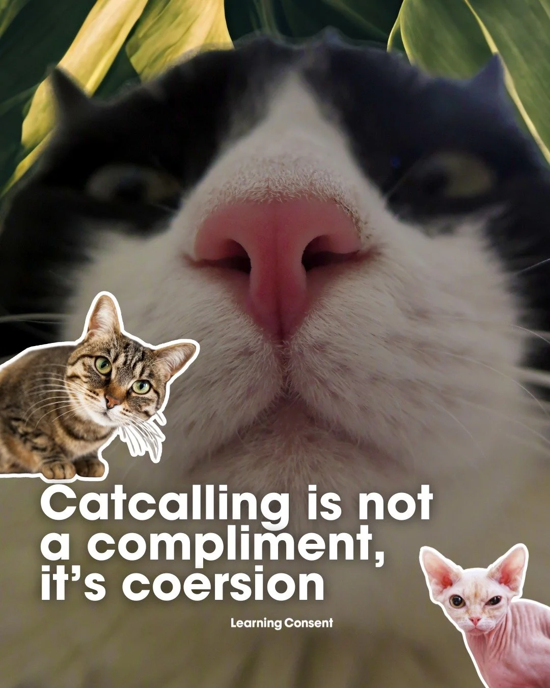 𝗦𝘁𝗿𝗲𝗲𝘁 𝗵𝗮𝗿𝗮𝘀𝘀𝗺𝗲𝗻𝘁 is an unwanted interaction and can include things like catcalling, whistles, sexually suggestive gestures, comments or being followed. 

Research shows catcalling often functions as a way to objectify and assert powe