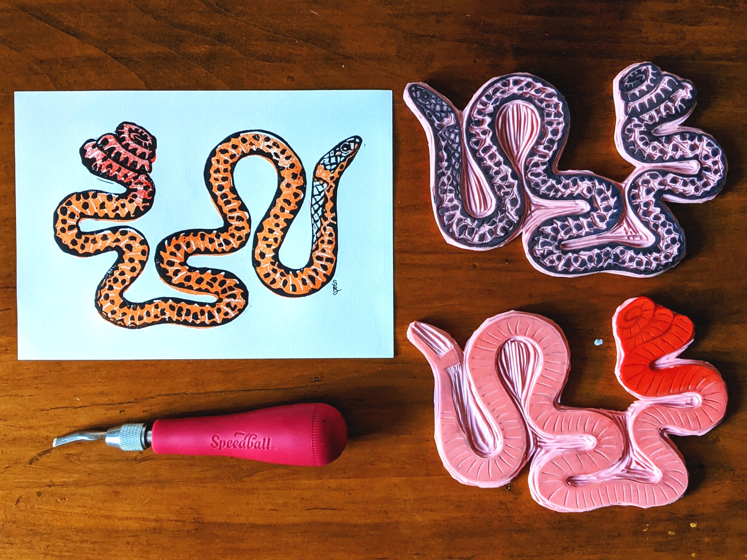Pacific ring-necked snake finished blockprint, carved linoleum blocks, and carving tool