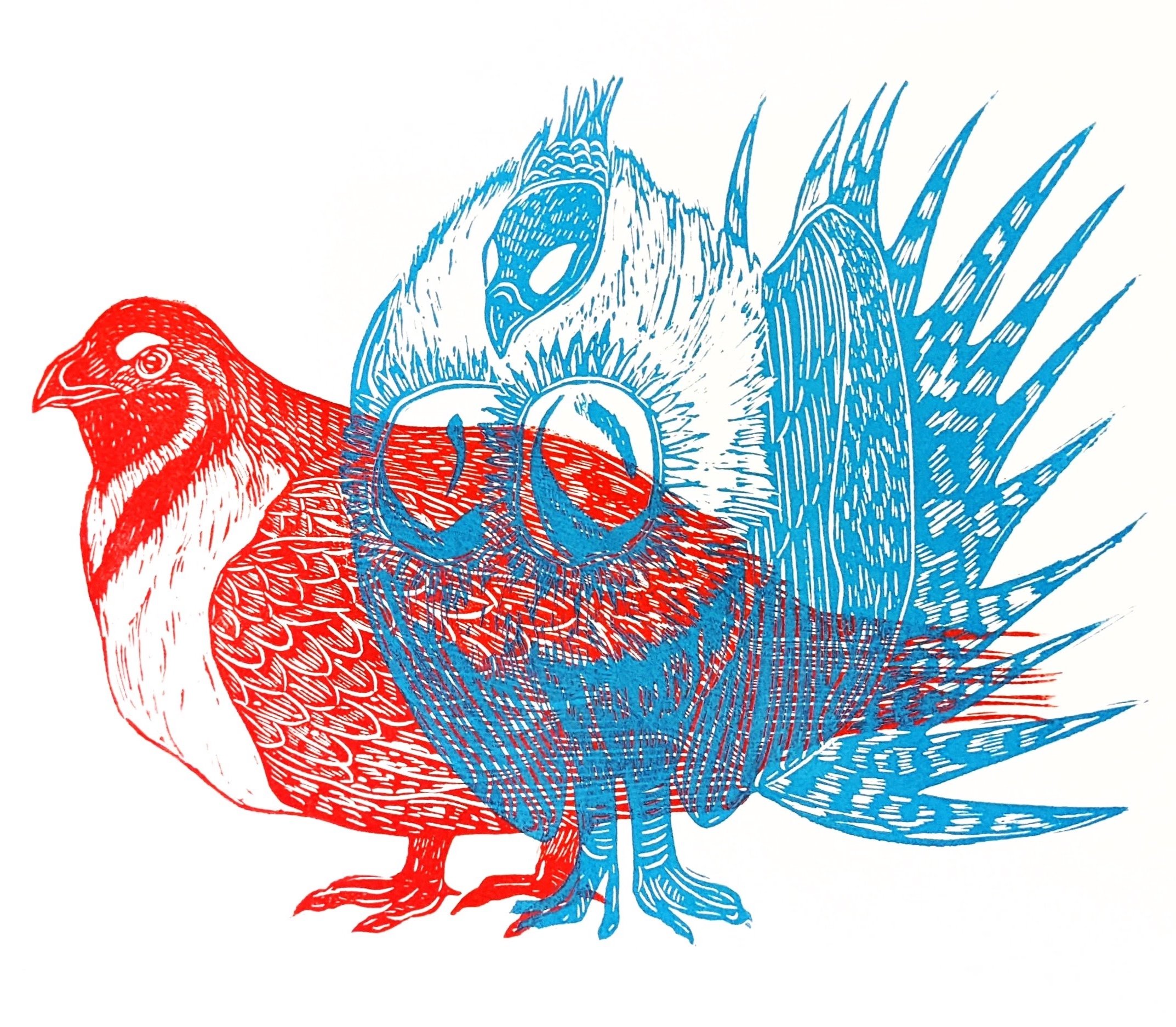 Greater Sage-Grouse Overlapping design