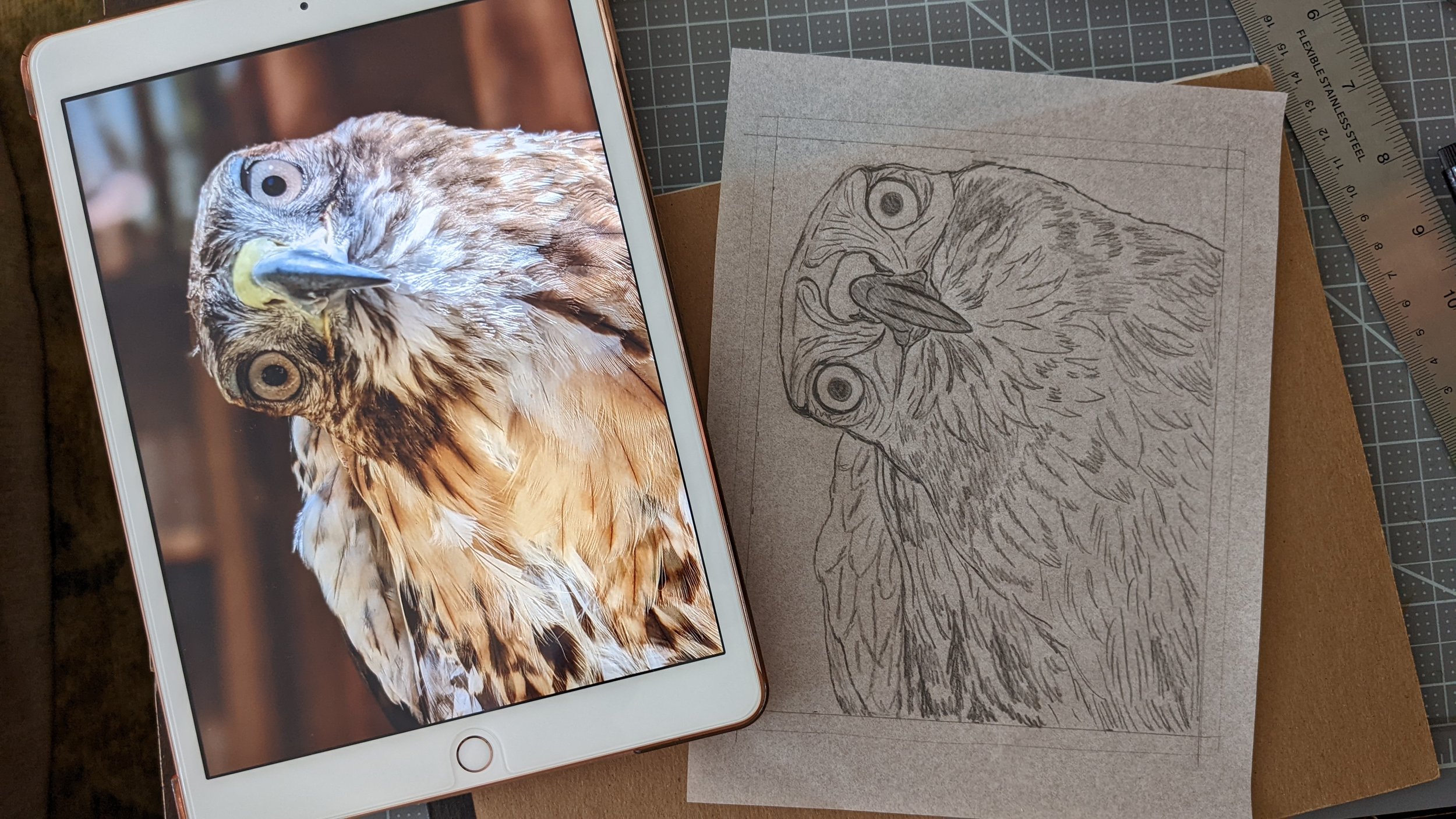 Print sketch & reference photo