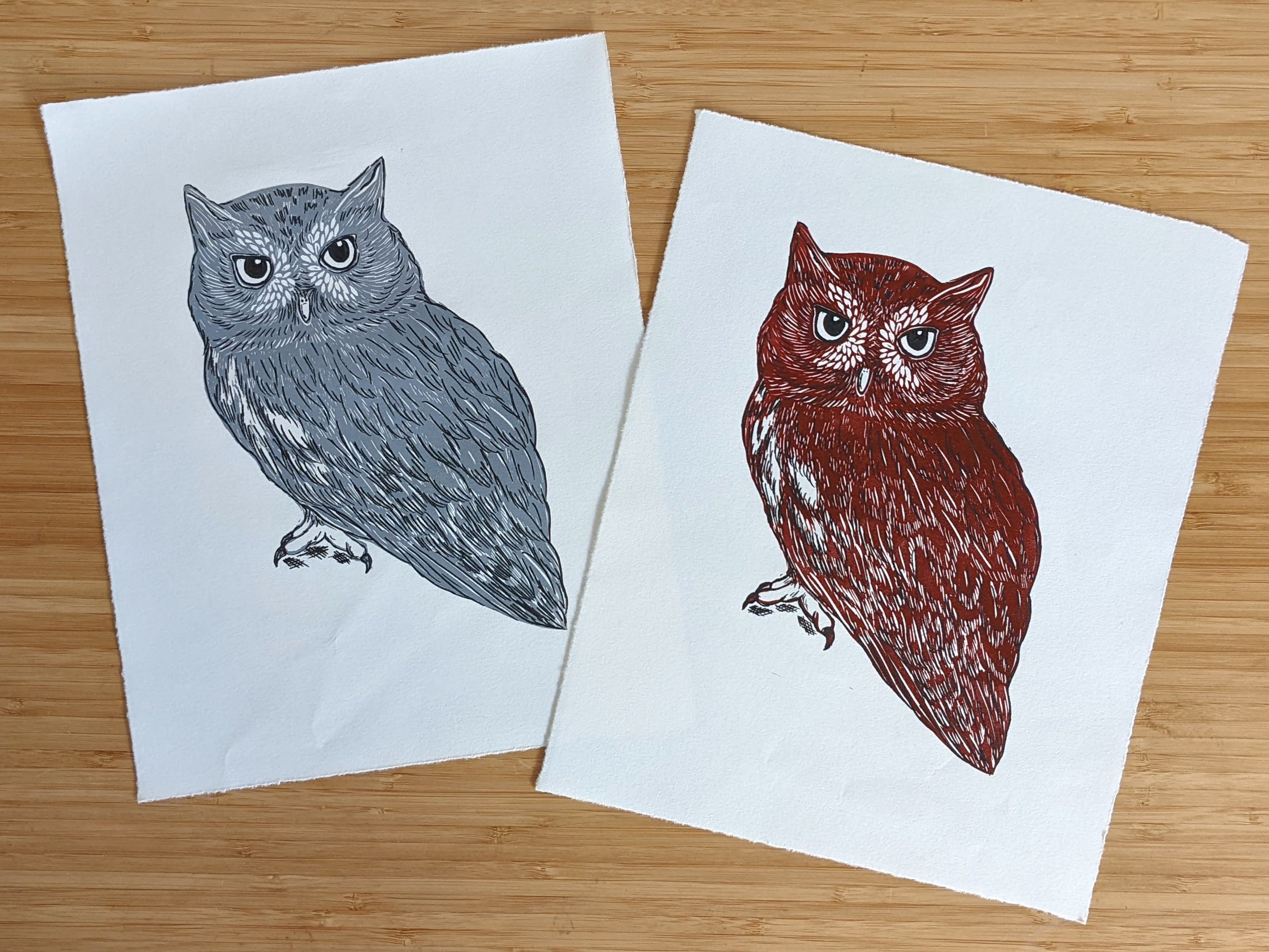 Eastern Screech-Owl Prints (8" by 10")