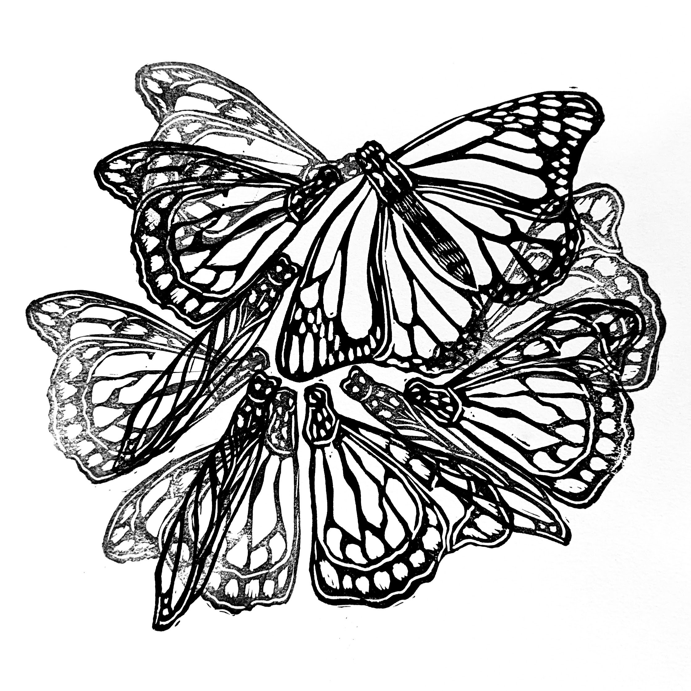 Monarch-Print-Upclose.jpg