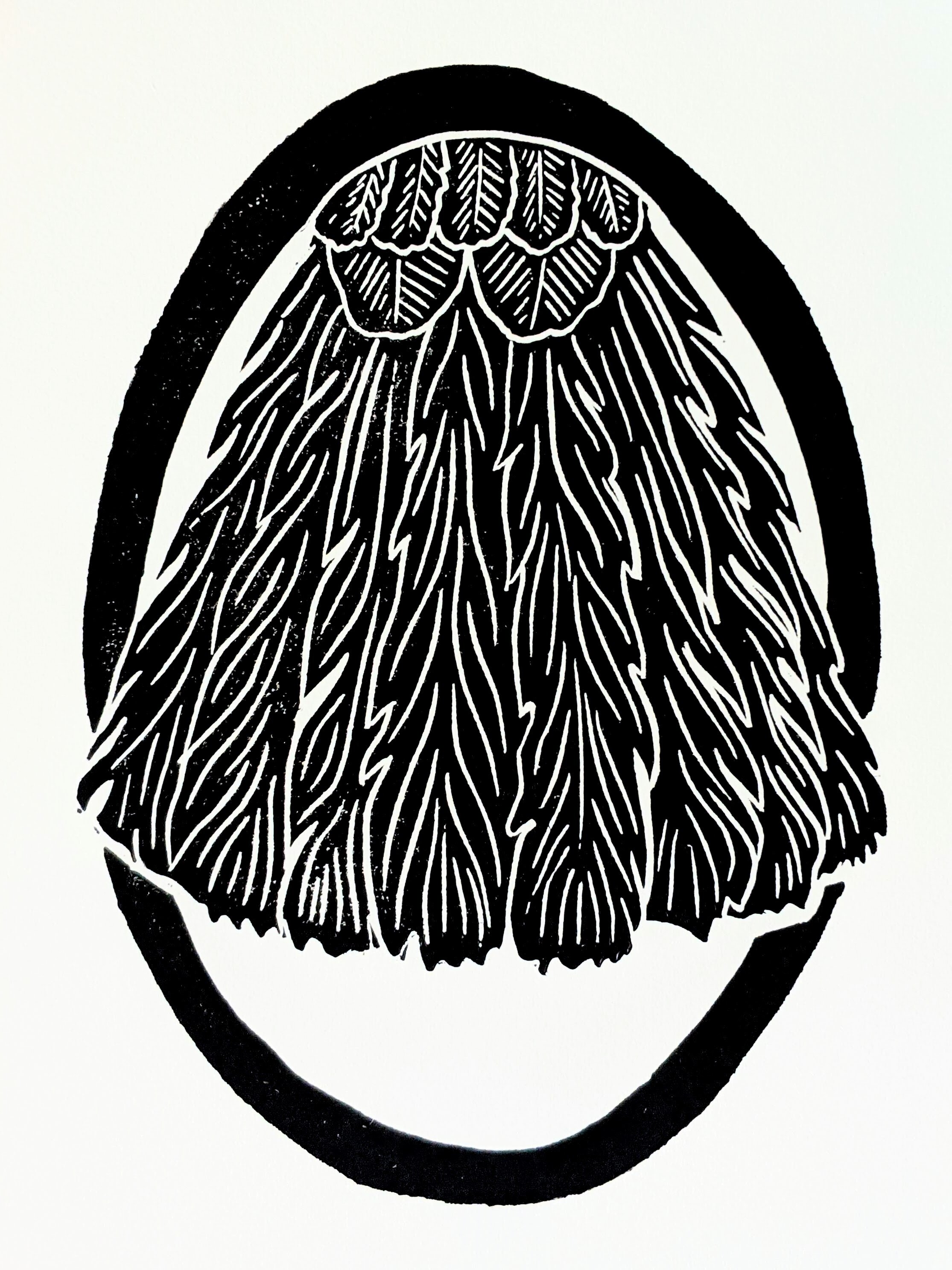 crow tailfeathers