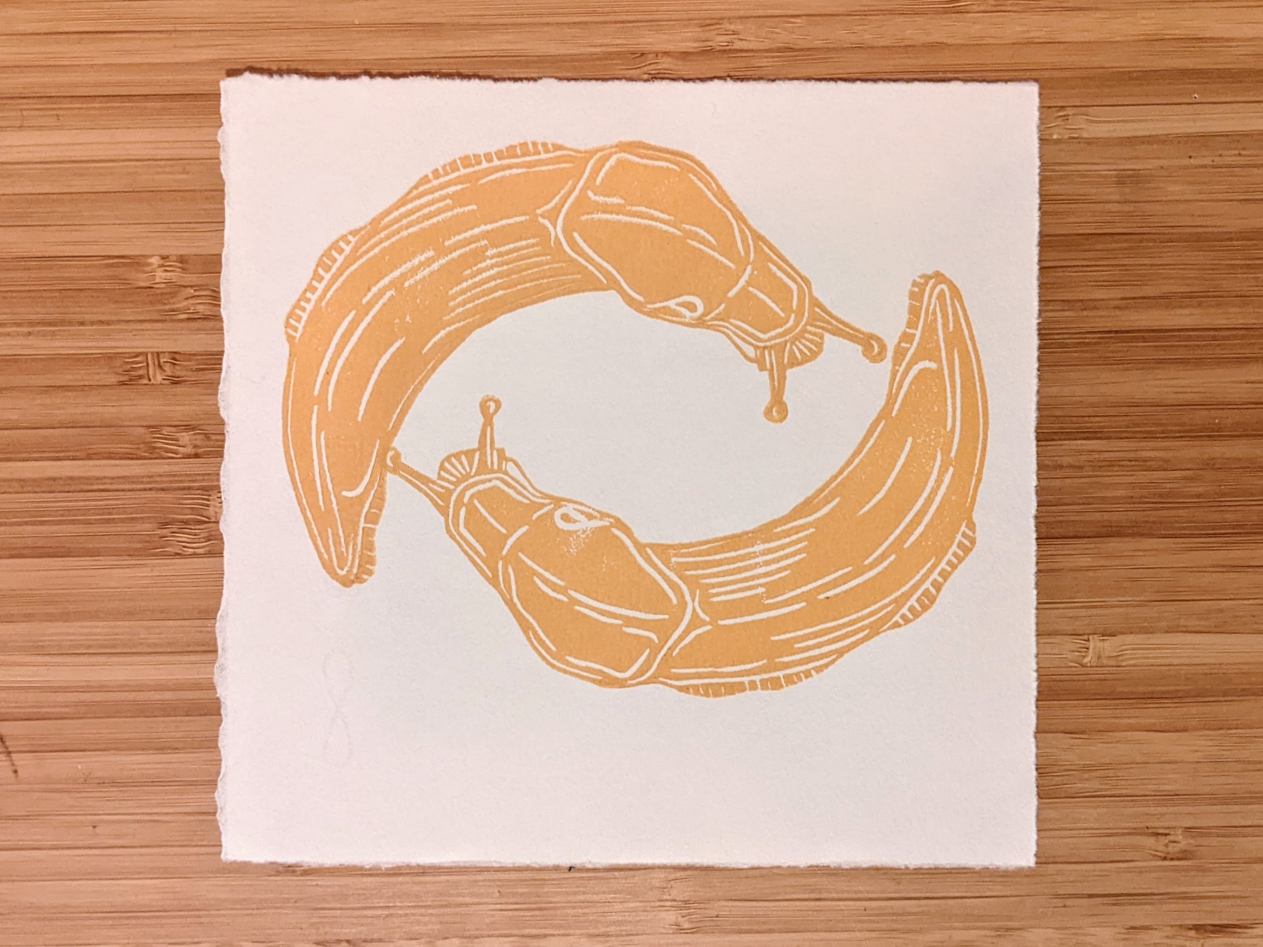 Banana-Slug-Mating.jpg