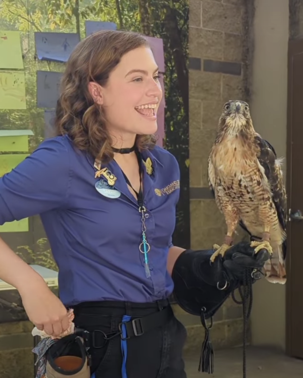 Naturalist & Artist, Sarah Bowser, teaching with a juvenile Red-tailed hawk ambassador animal California