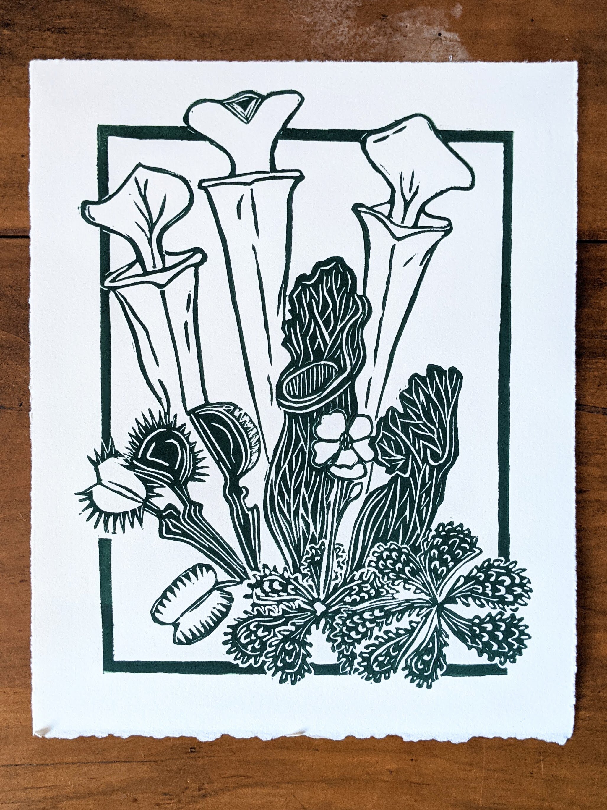 Carolina Bog Print
