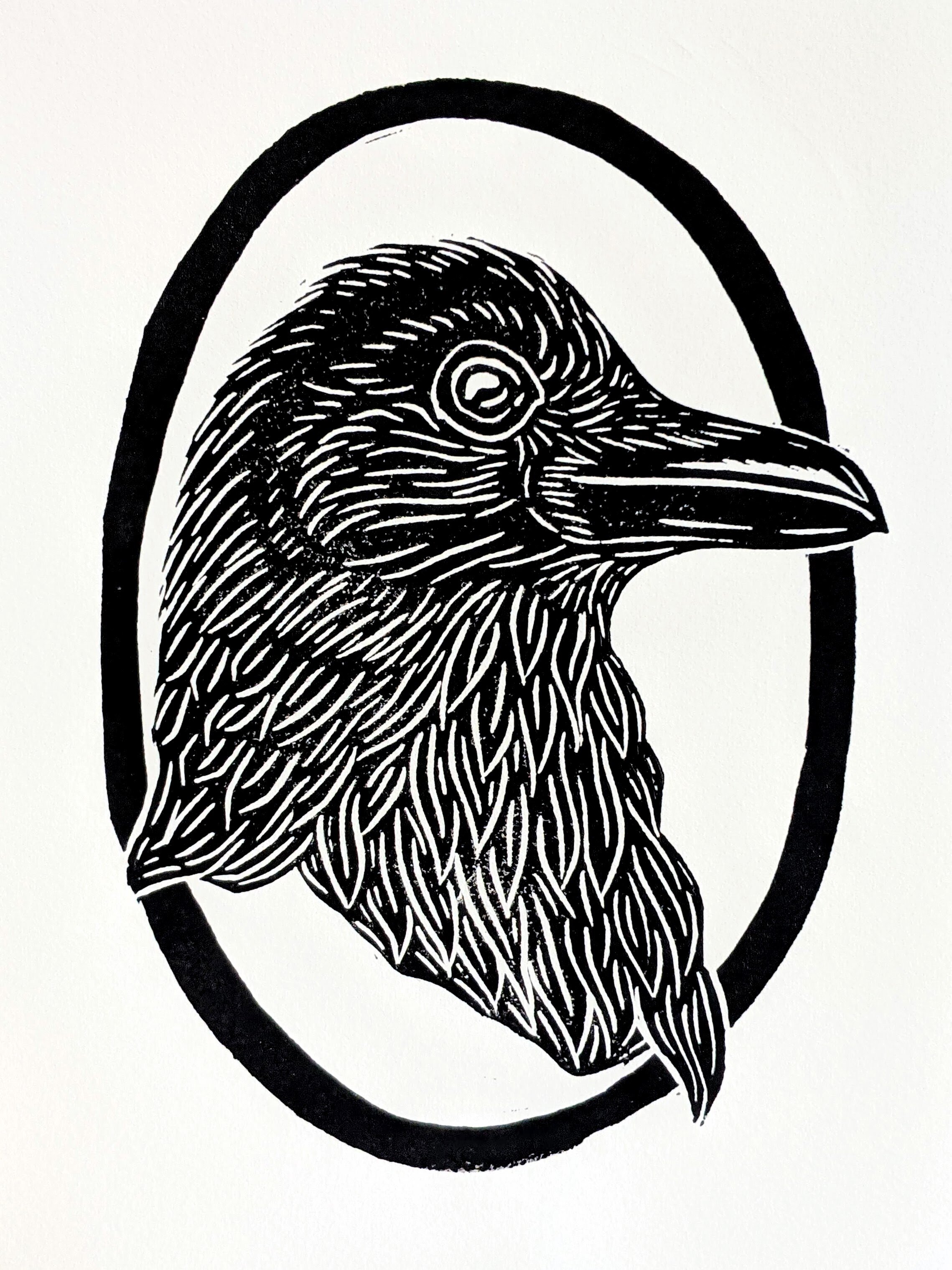 raven profile