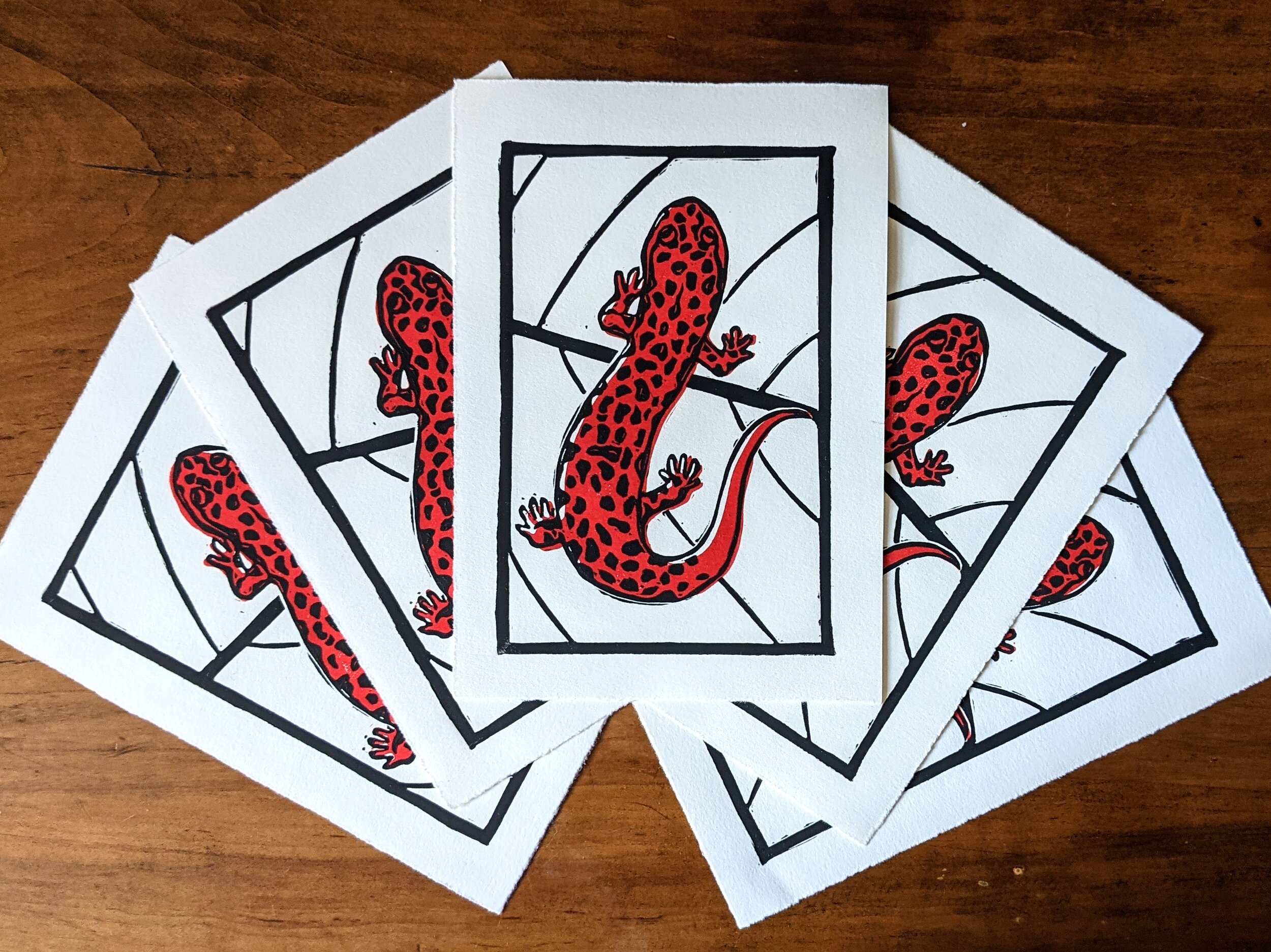 Red salamander prints- red & black ink on cotton rag paper