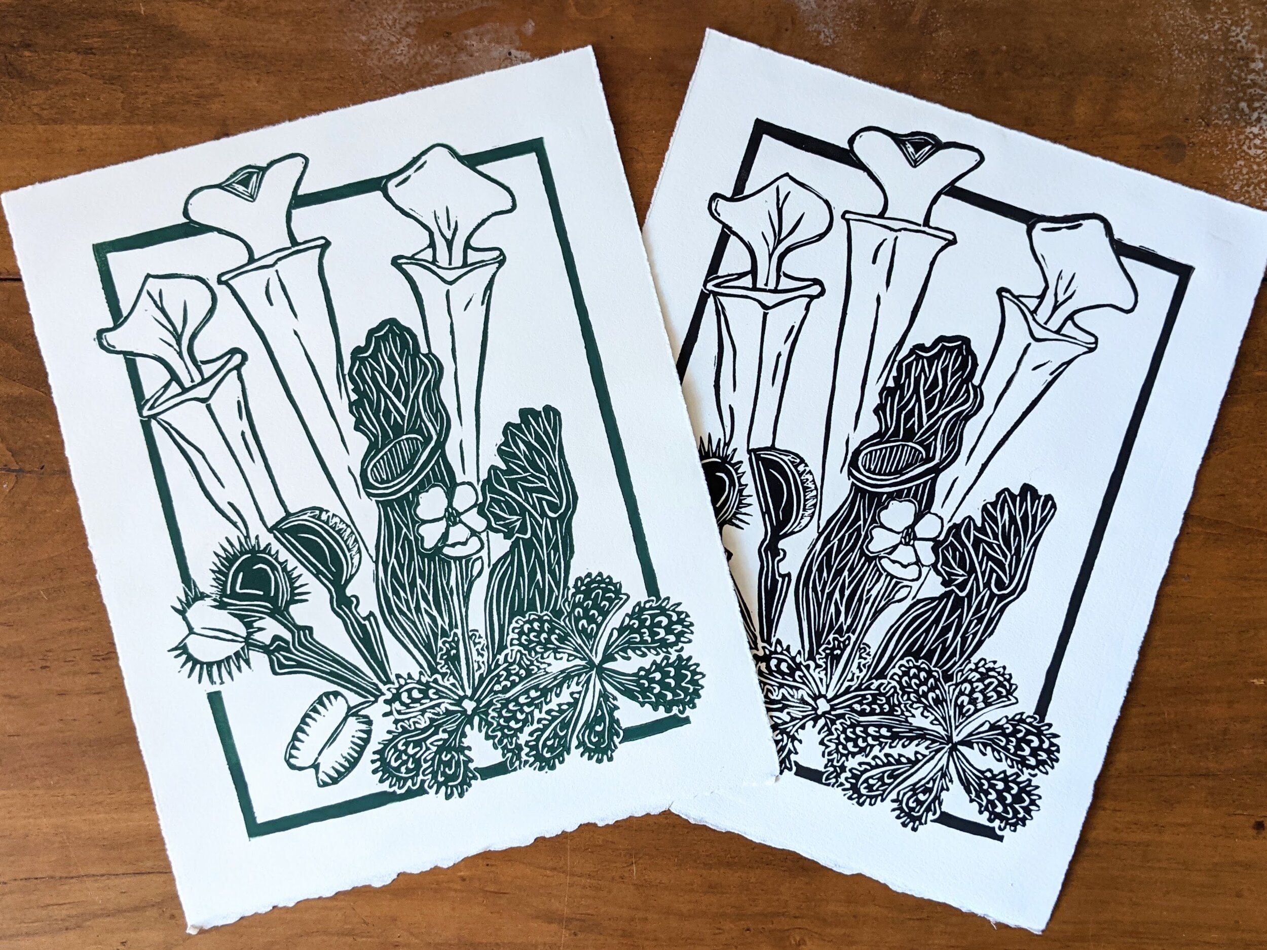 Carolina Bog- Prints 8" by 10", available in dark green & black ink