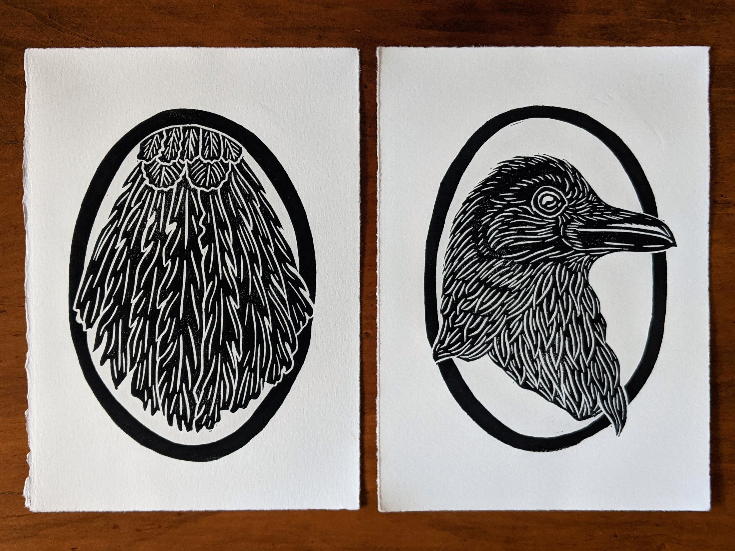 raven profile & tailfeathers