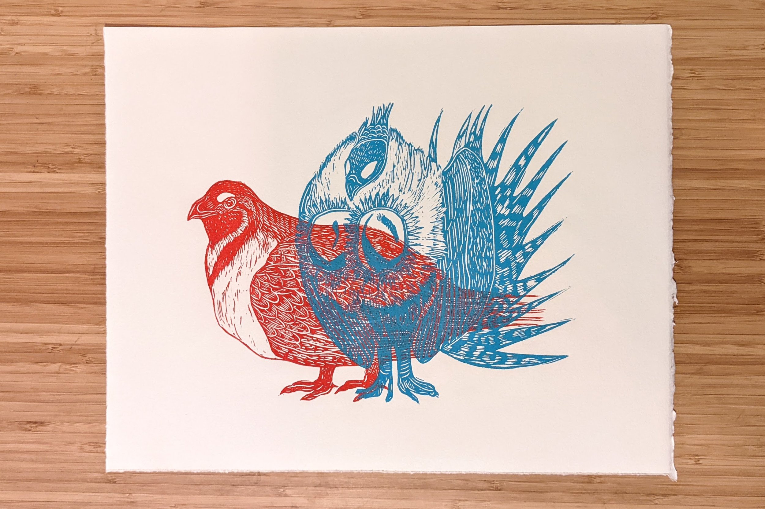 Greater Sage-Grouse Print; 11" by 14"
