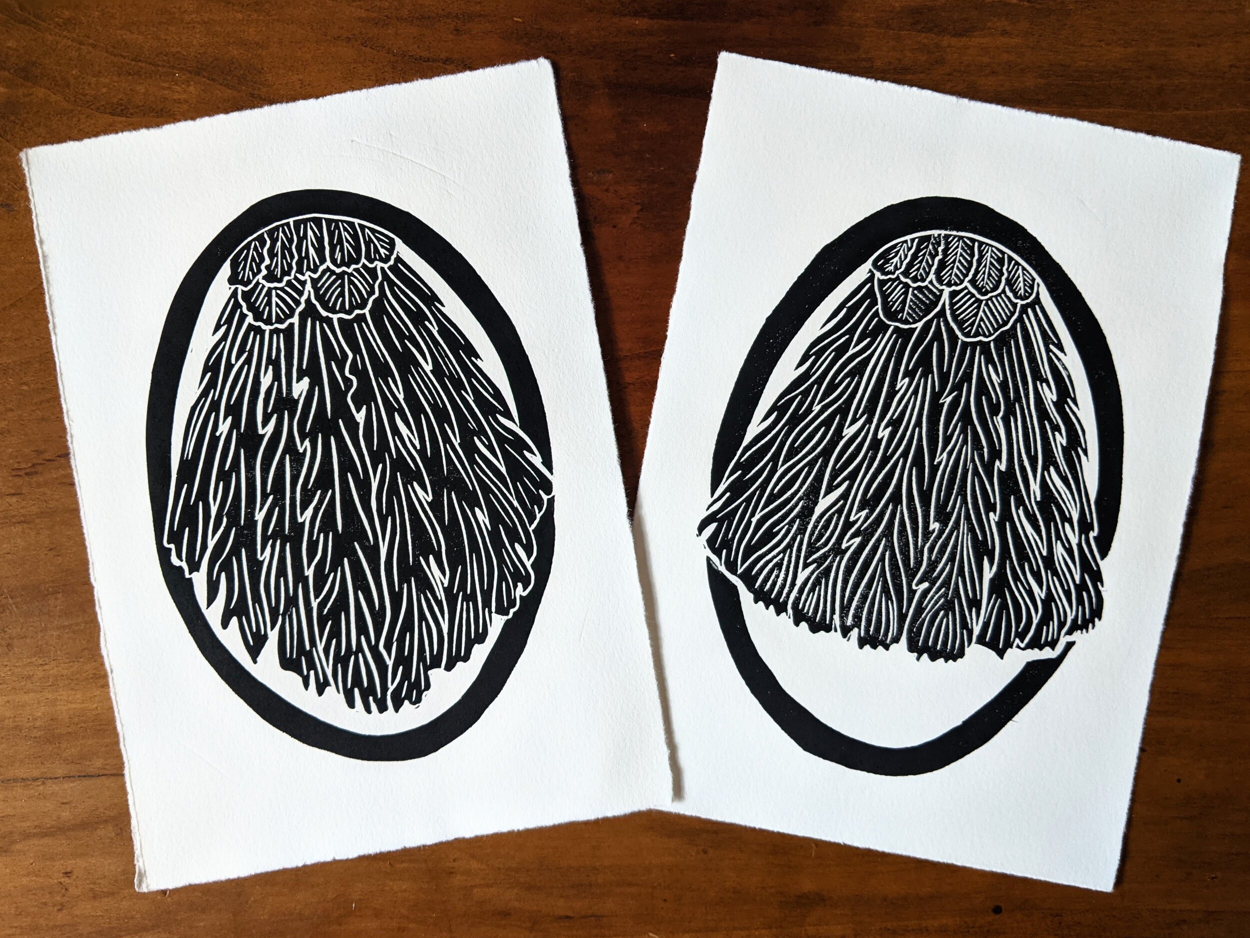 tailfeathers-image.jpg