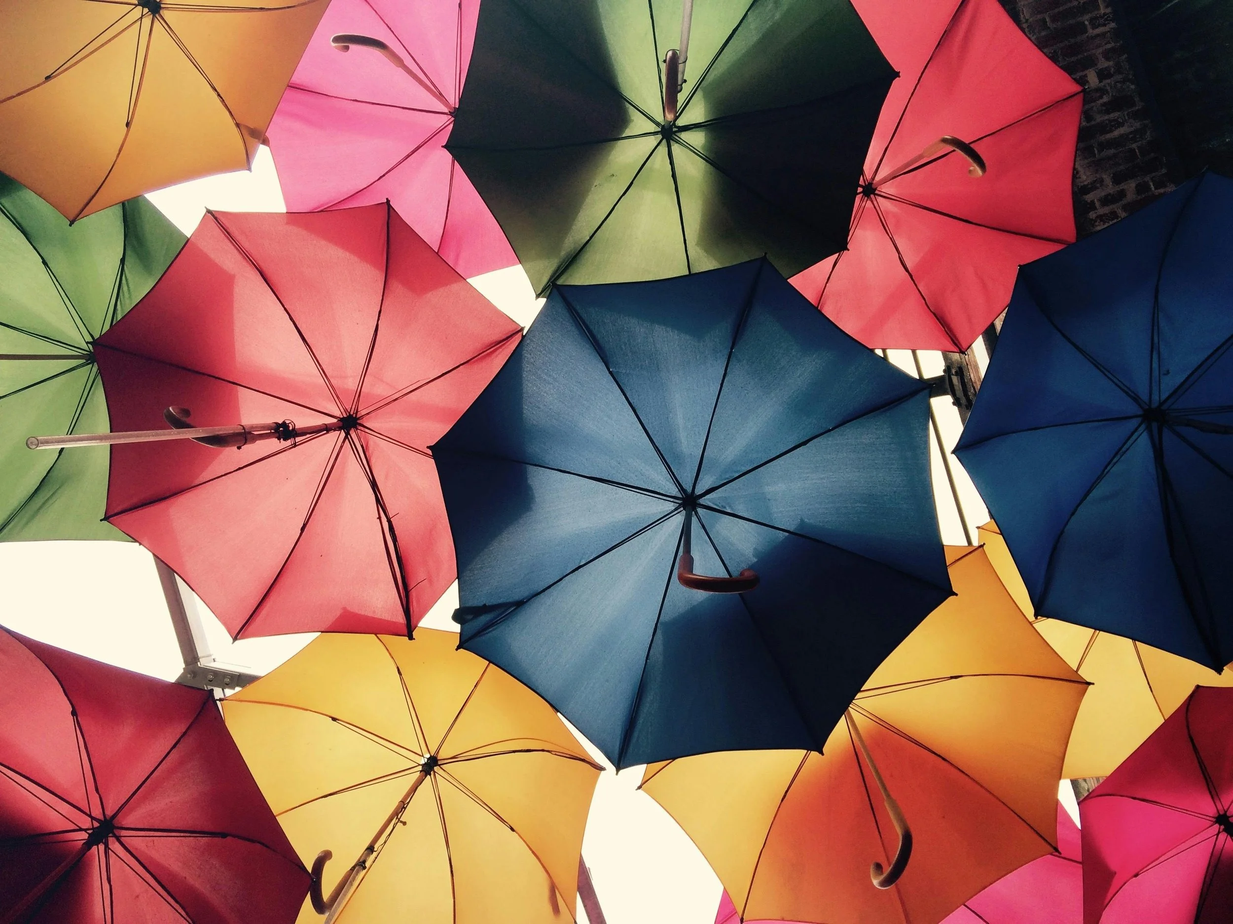 Colorful umbrellas hanging upside down, creating a canopy.