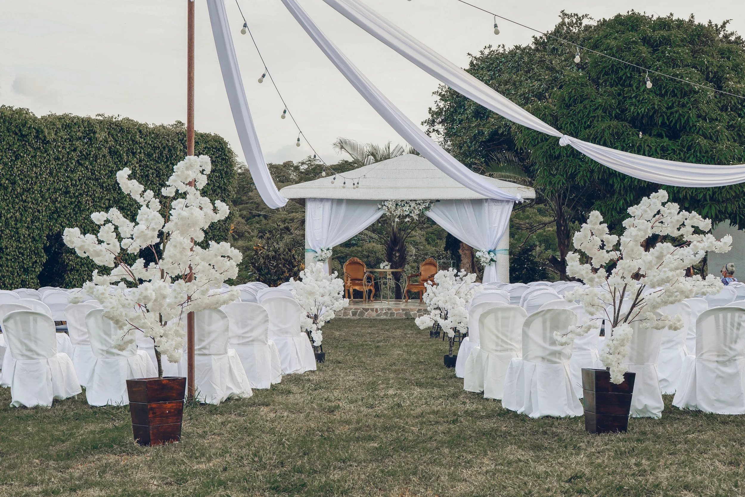 Wet Weather Weddings: Embracing (Not Just Surviving) the Rain | Let’s Marry Celebrant Brisbane