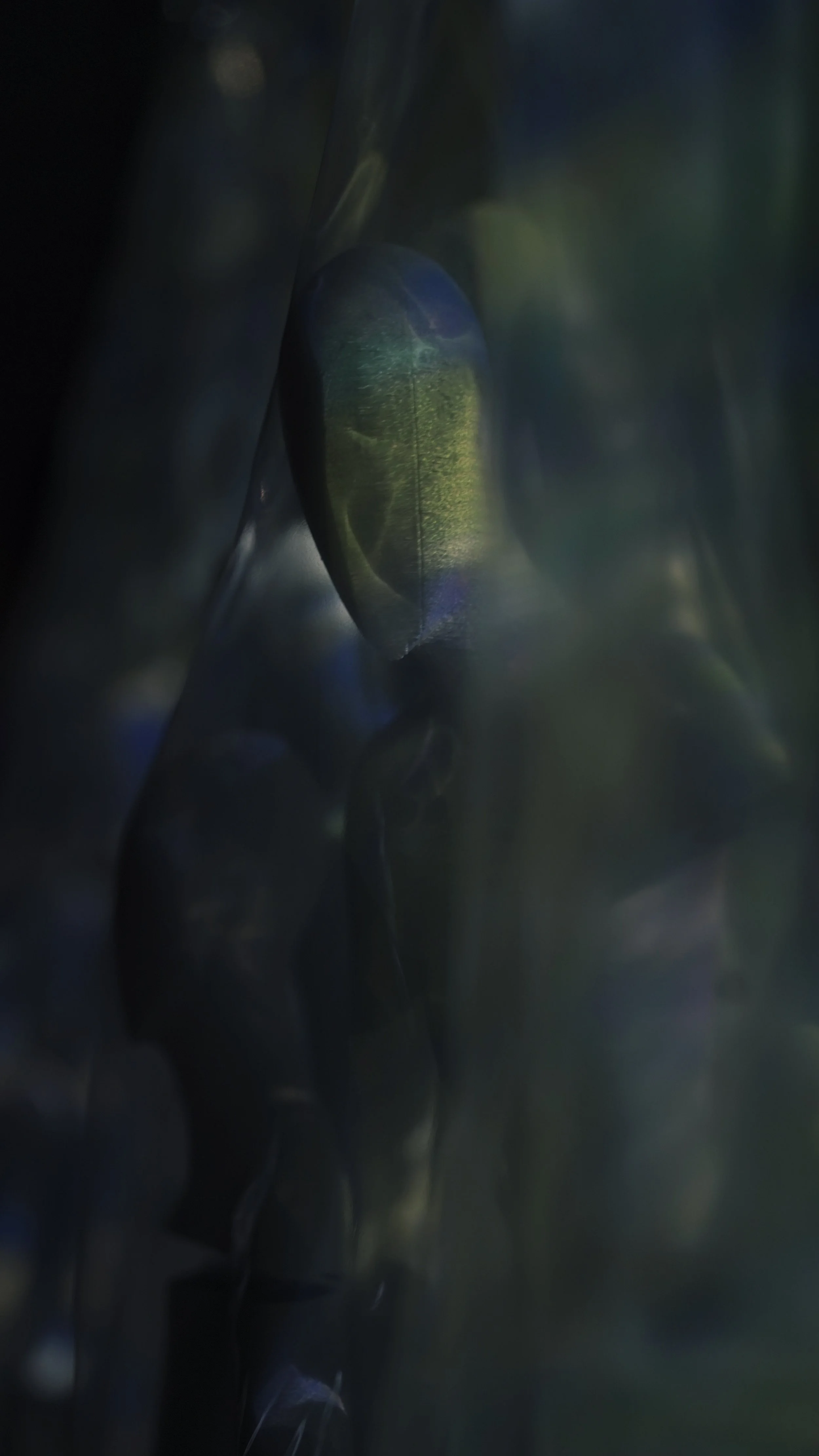 DSC02175_render.jpg