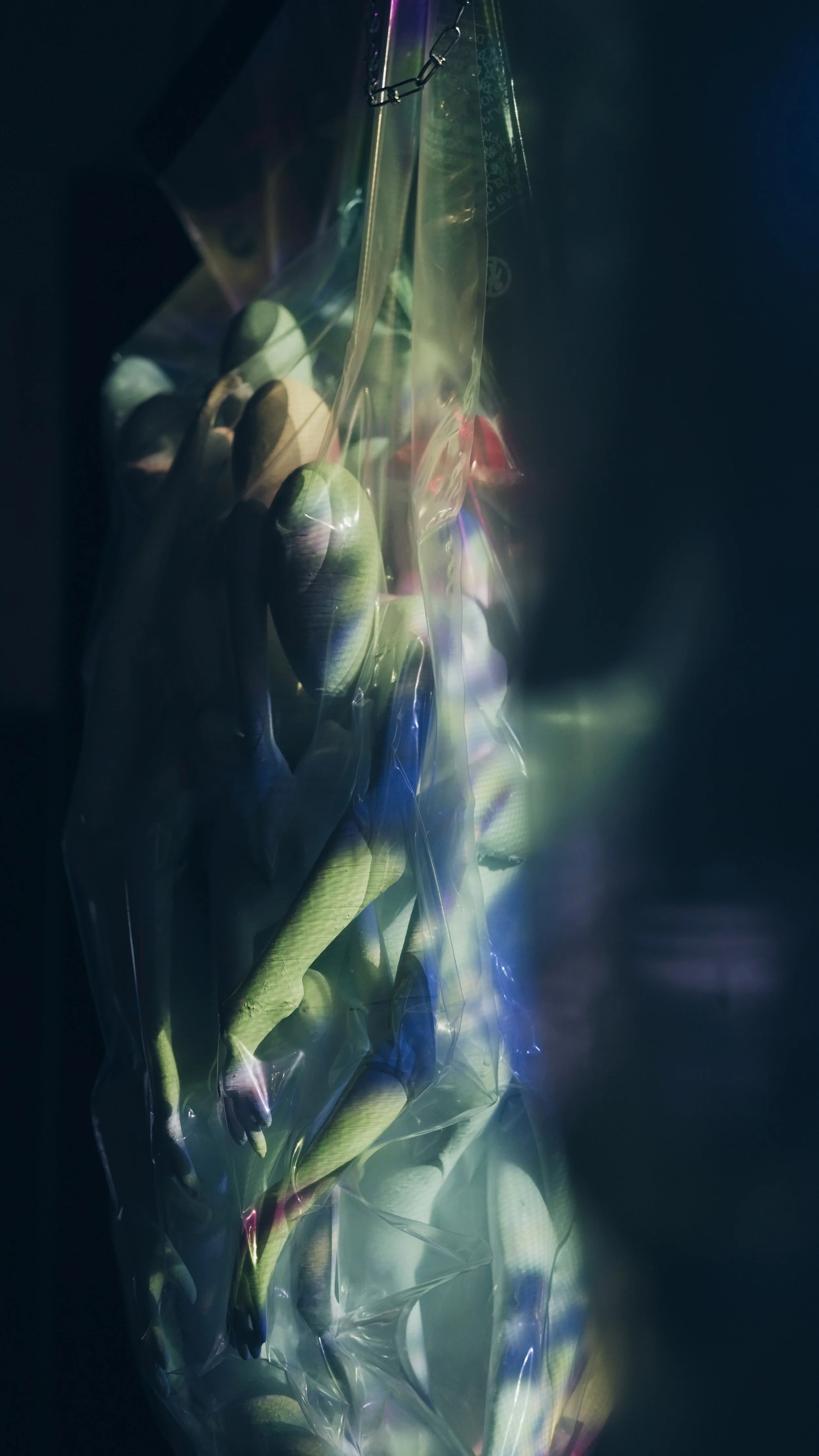DSC02275_render.jpg