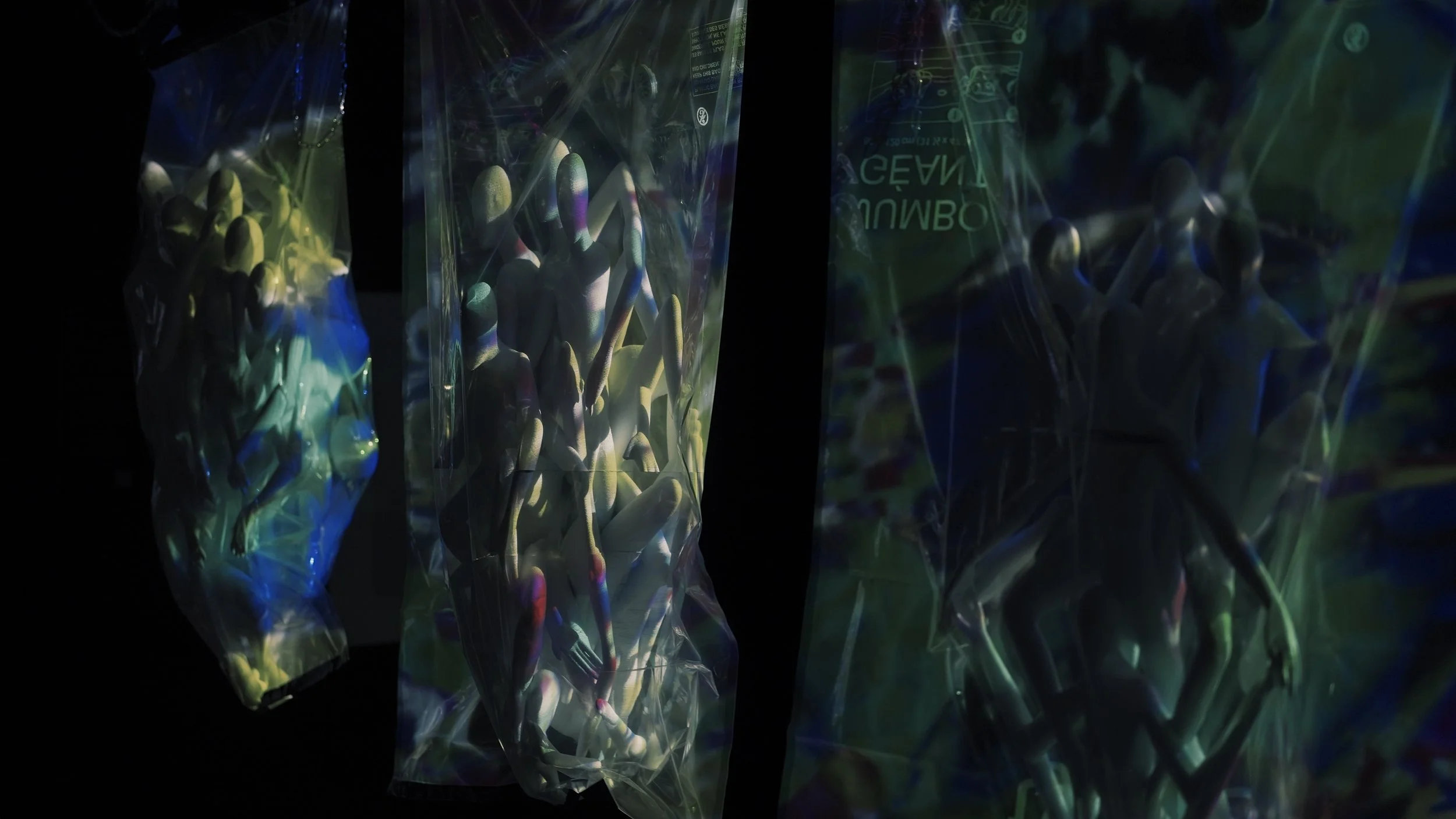 DSC02368_render.jpg