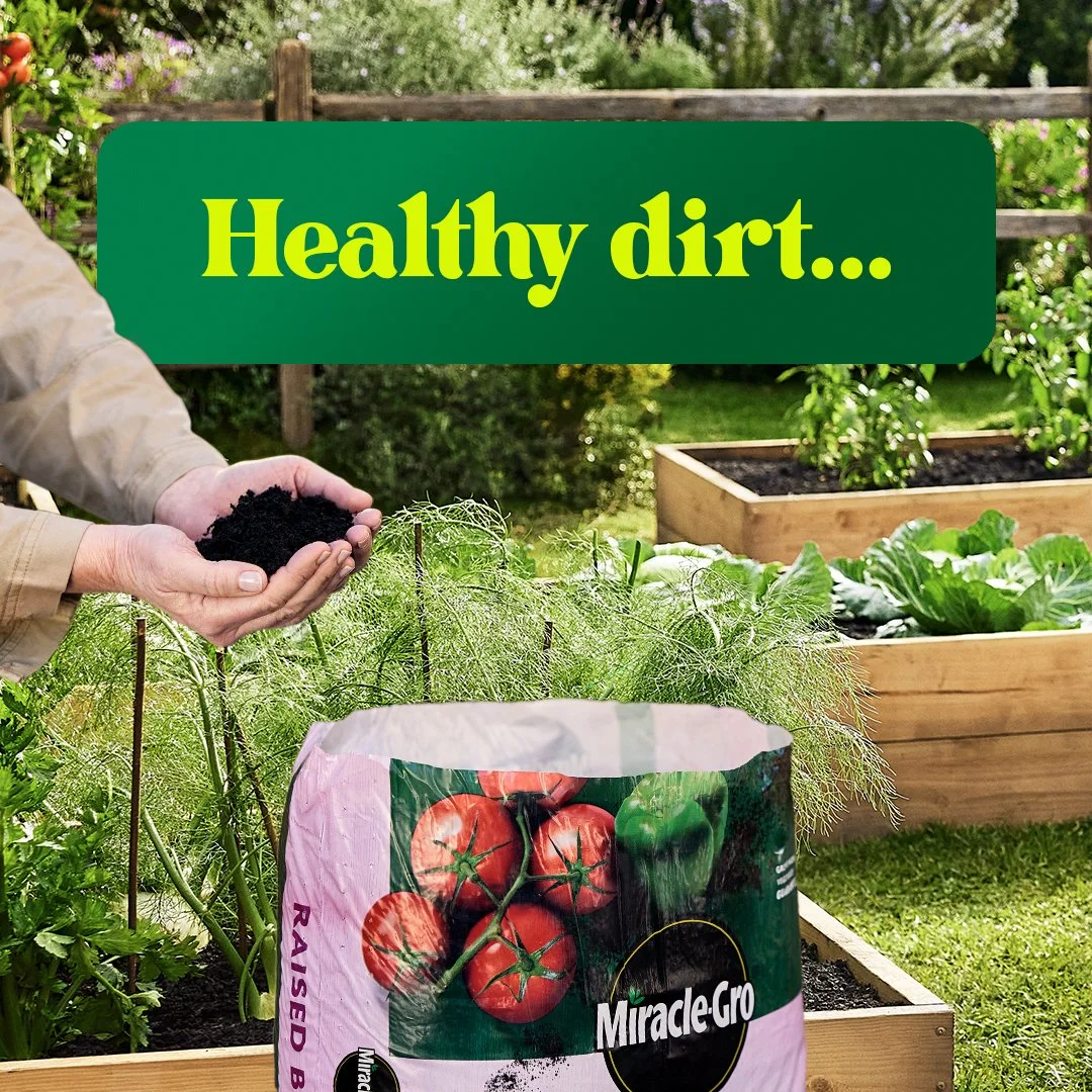 W659750_MiracleGro_JBCarousel1HealthyDirt1_1x1_SOCIAL_NA.jpg